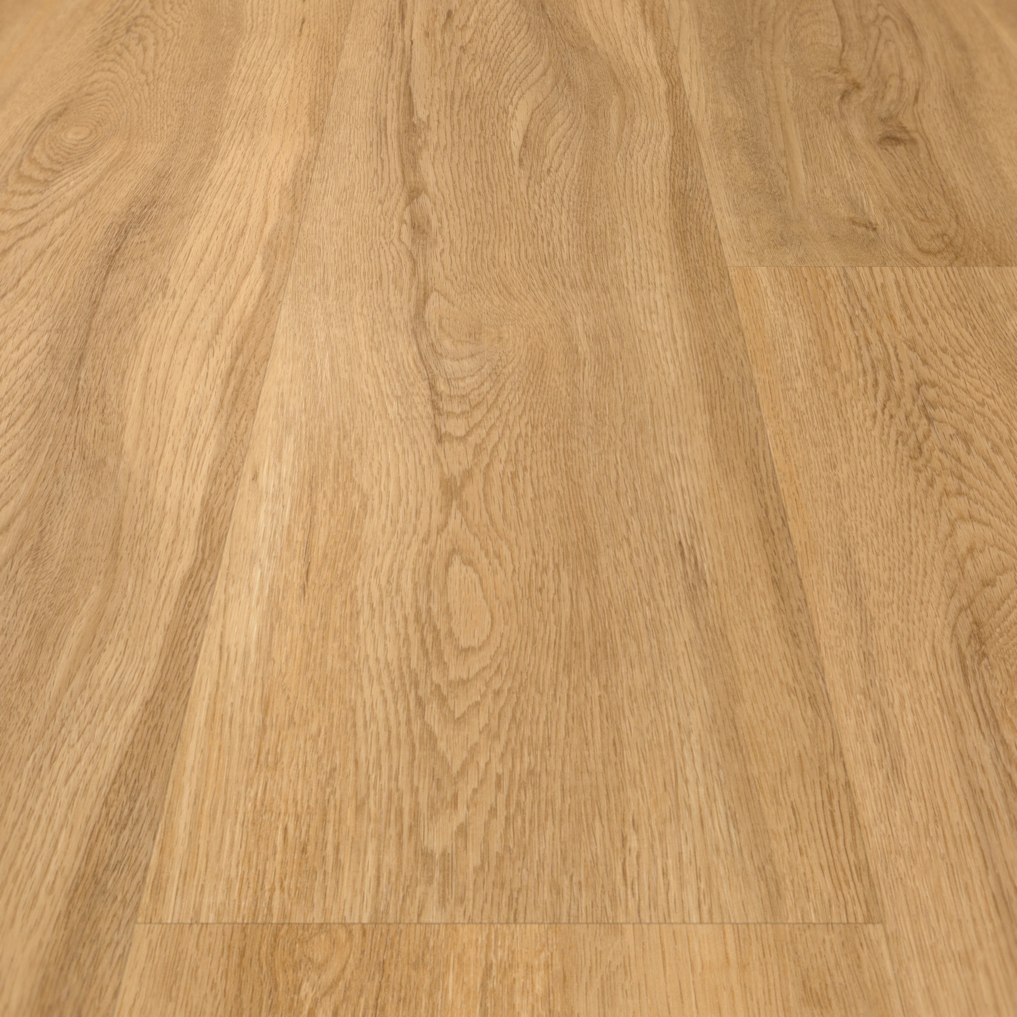 Detail Ansicht - Parador Klebe-Vinyl Basic 2.0 Eiche Sierra natur Detail Ansicht - Parador 1730791