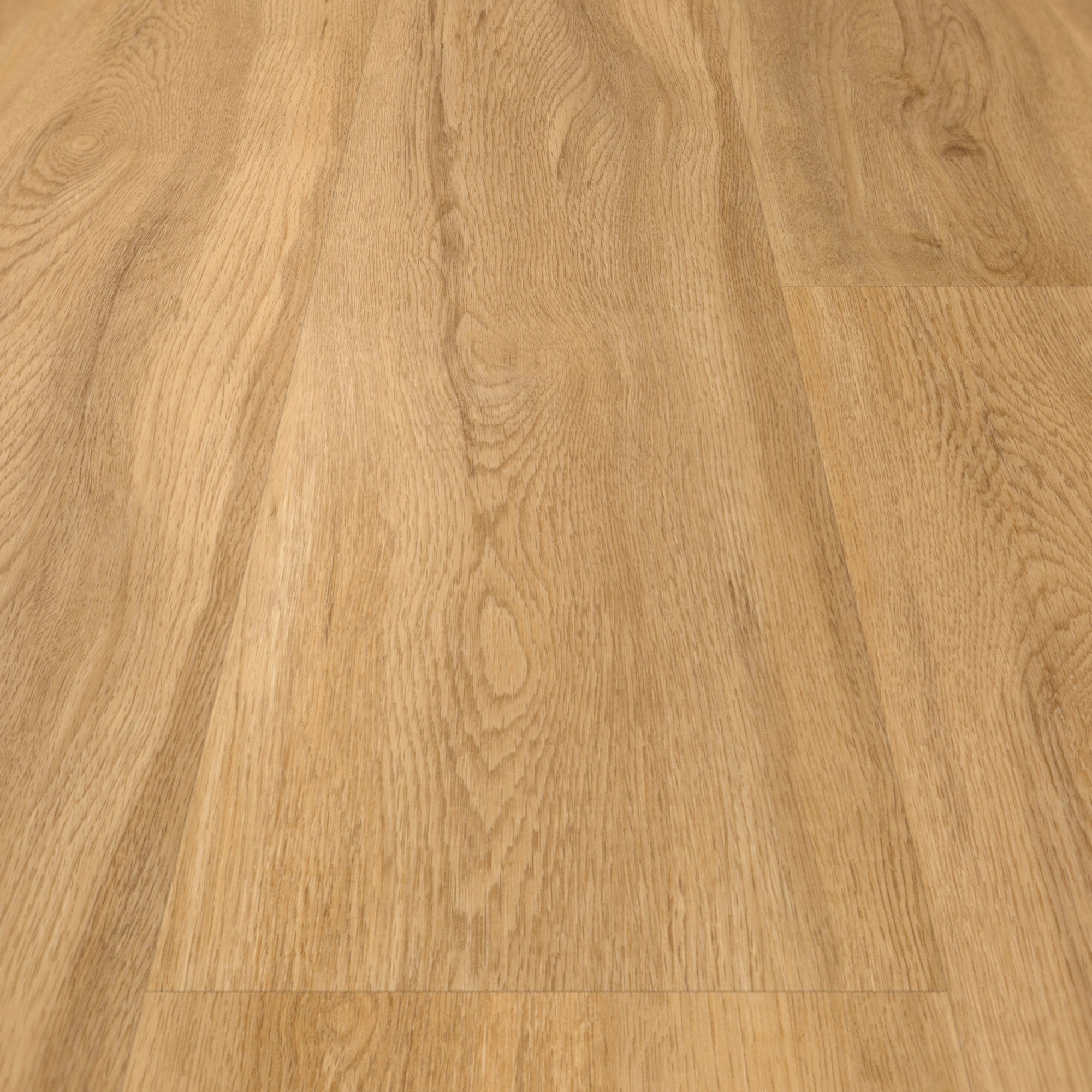 Detail Ansicht - Parador Klebe-Vinyl Basic 2.0 Eiche Sierra natur Detail Ansicht - Parador 1730791