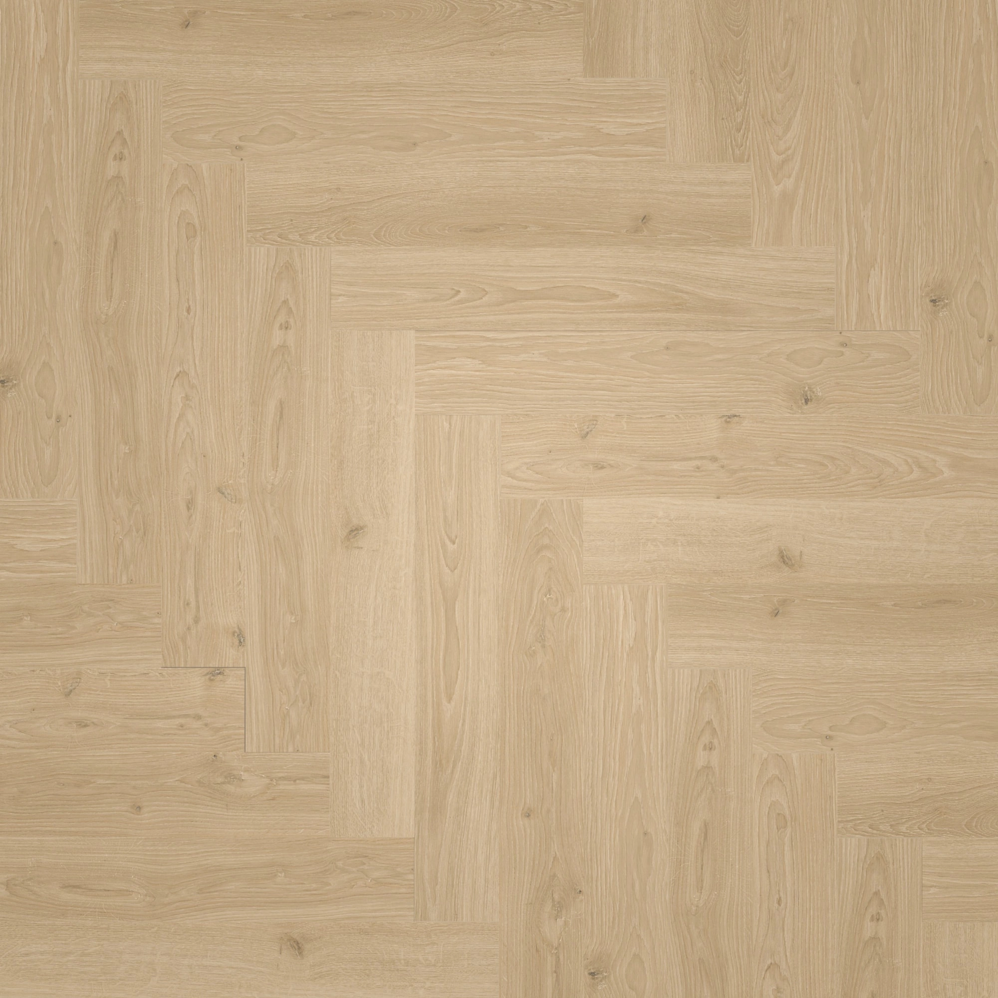 Draufsicht - Parador Laminat Trendtime 3 Eiche Studioline natur Draufsicht - Parador 1747866