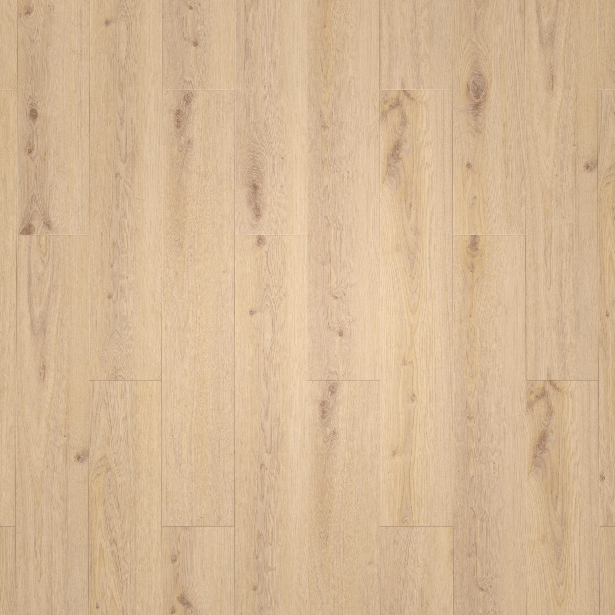 Draufsicht - Tarkett Klebe-Vinyl Essence 55 Primary Oak Beige Draufsicht - Tarkett 260053003