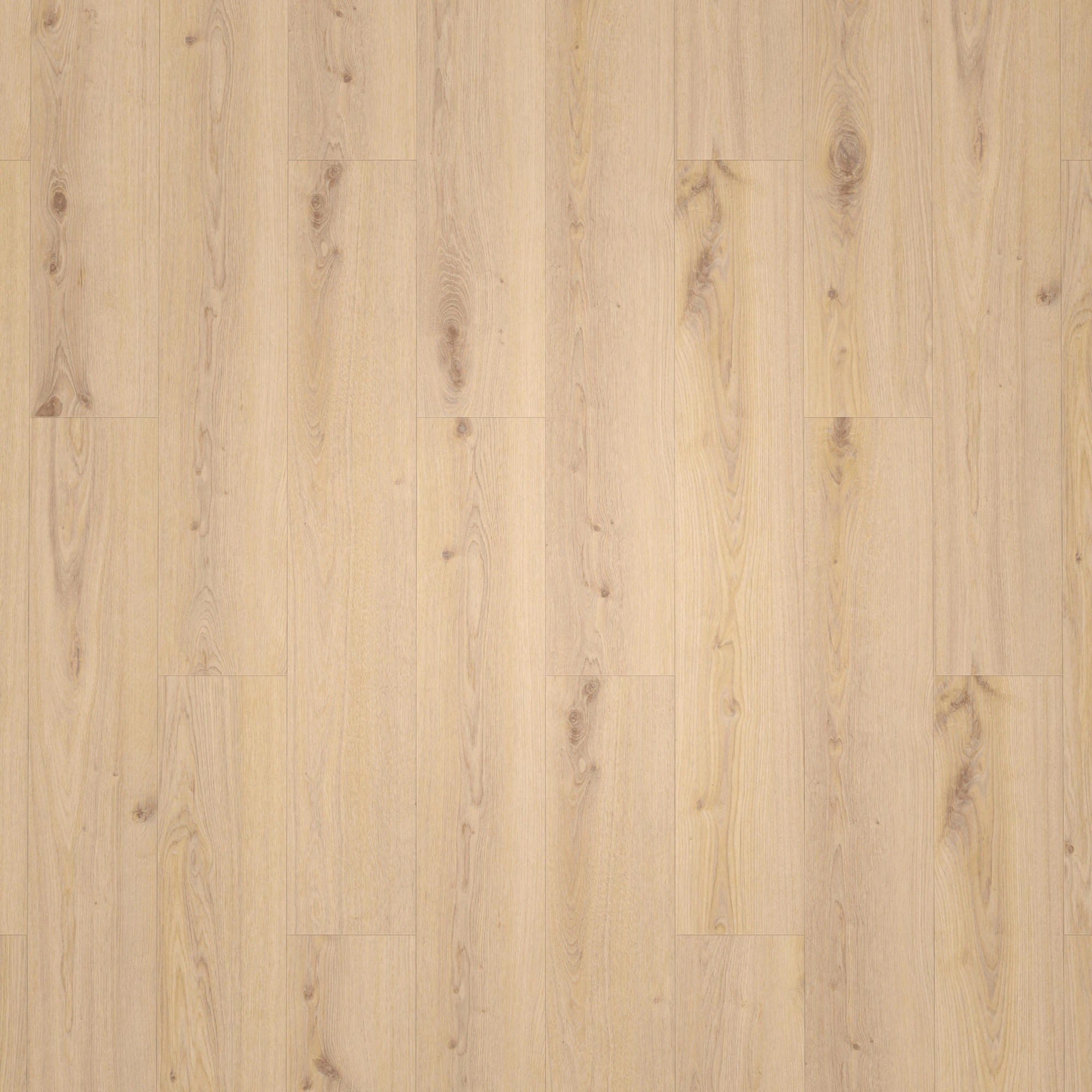 Draufsicht - Tarkett Klebe-Vinyl Essence 55 Primary Oak Beige Draufsicht - Tarkett 260053003