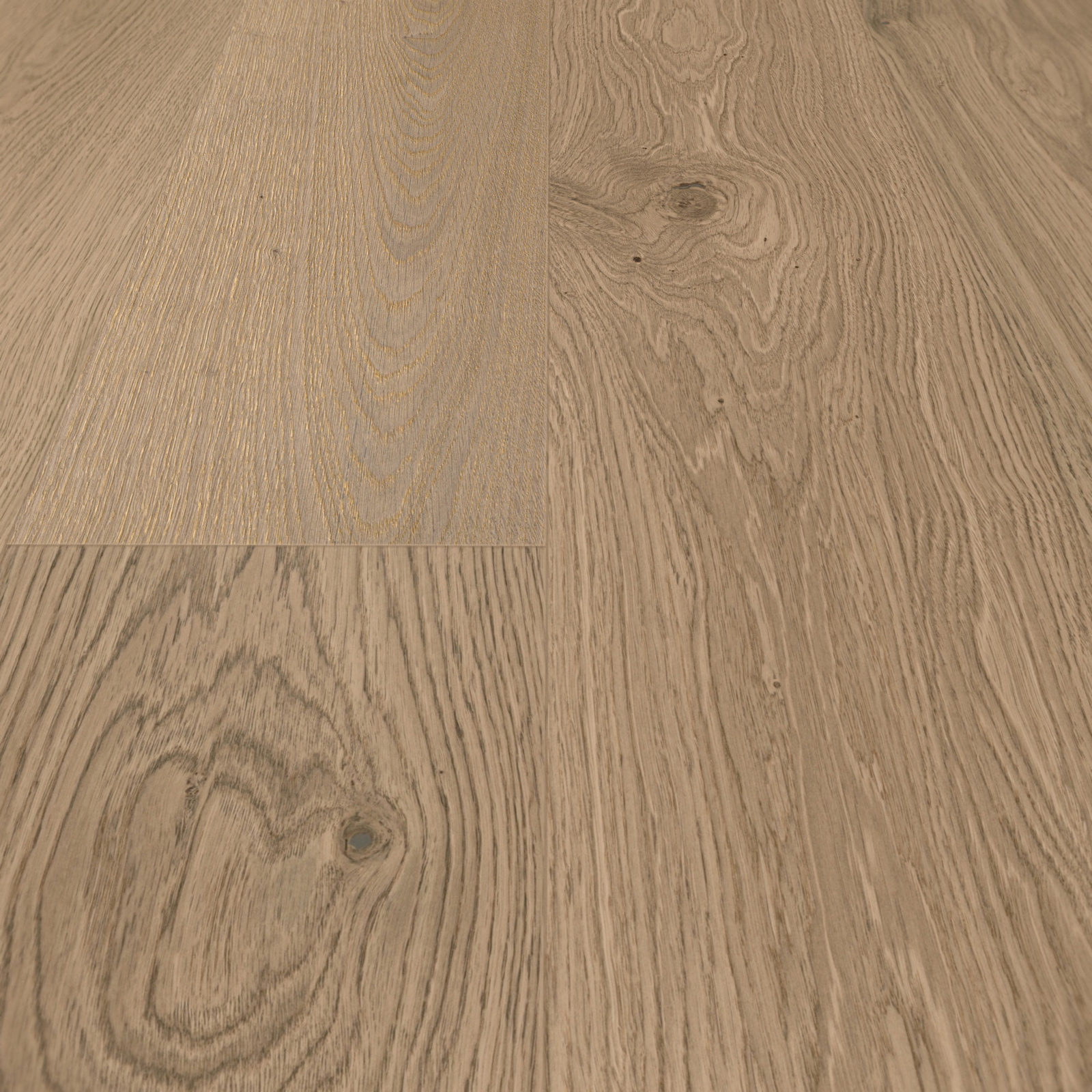 Detail Ansicht - MEISTER 500139-2200210-20018