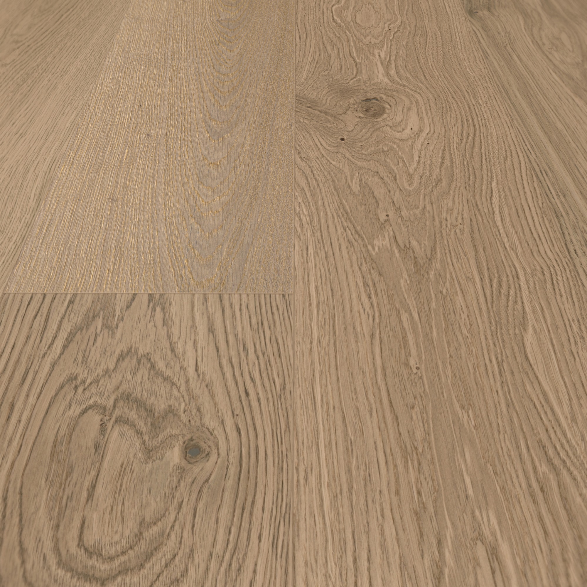 Detail Ansicht - MEISTER 500139-2200210-20018