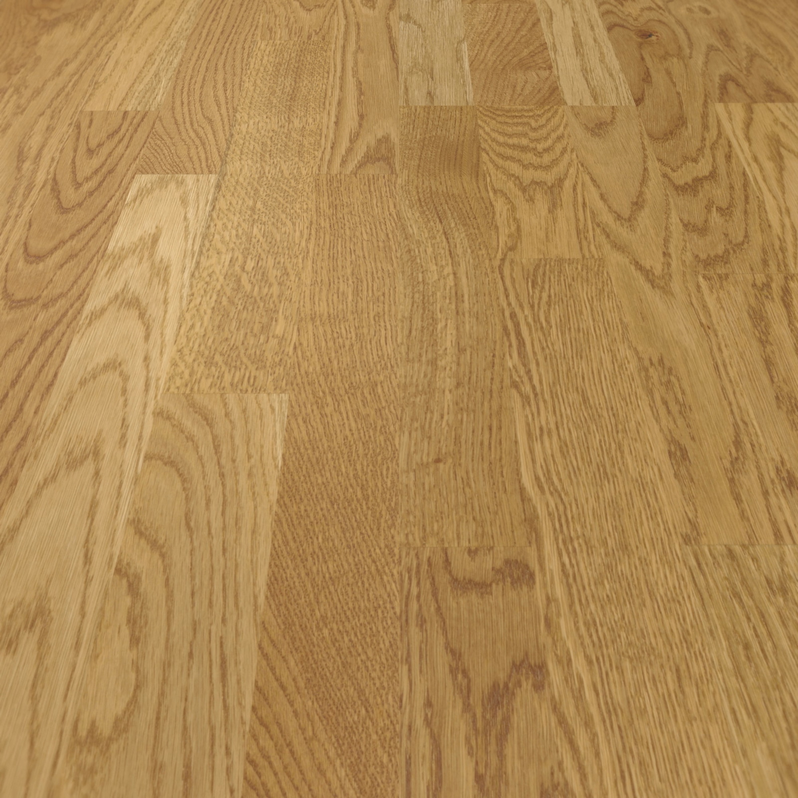Parador Parkett Classic 3025 Eiche Malbec natur Rustikal Holzstruktur Matt-Lackiert