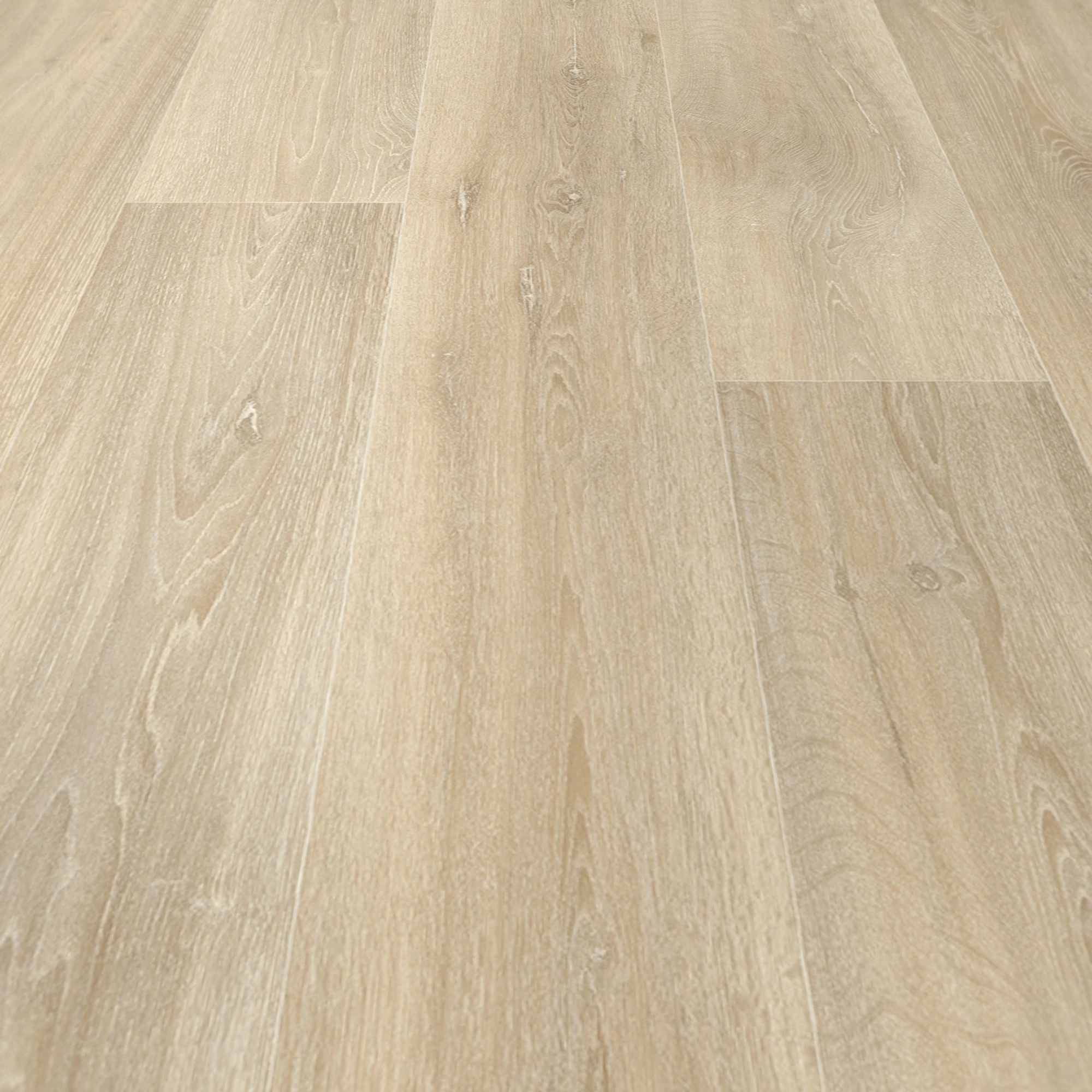 Detail Ansicht - Beauflor undefined Optima Feelings Lime Oak 106L Detail Ansicht - Beauflor 50069159