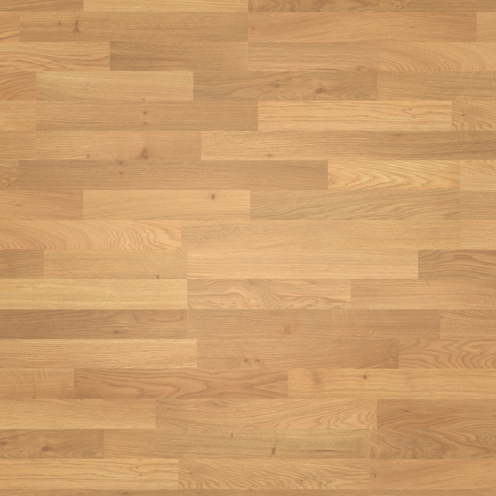 Parador Laminat Basic 400 Eiche Natur Seidenmatte Struktur 0V