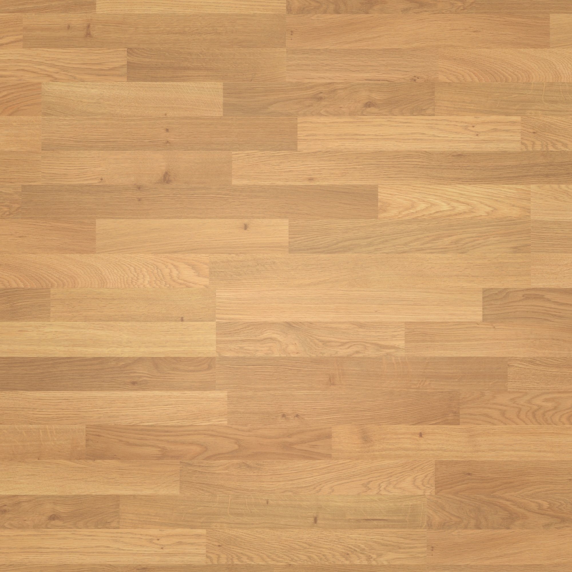 Parador Laminat Basic 400 Eiche Natur Seidenmatte Struktur 0V