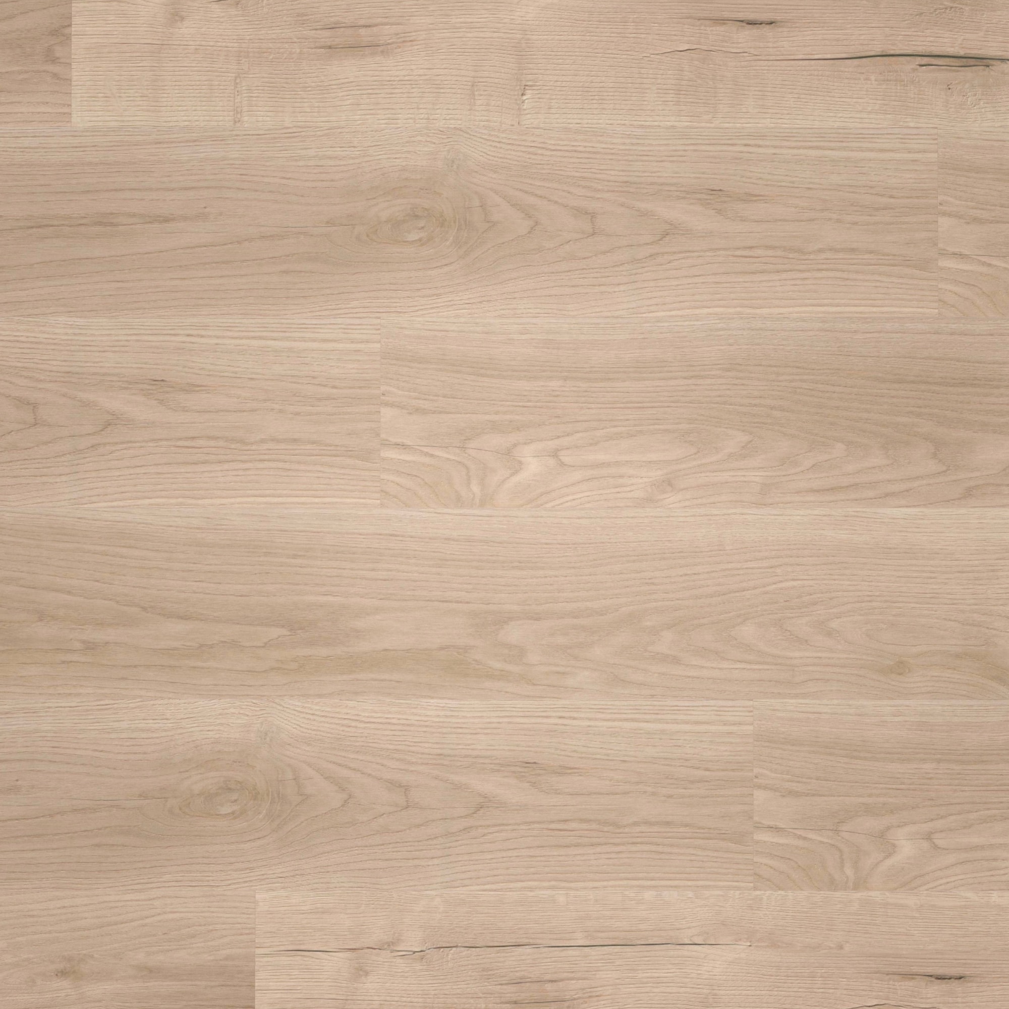 Draufsicht - wineo Klebe-Bioboden PURLINE wineo 1000 wood L Comfort Oak Sand Draufsicht - wineo PL298R