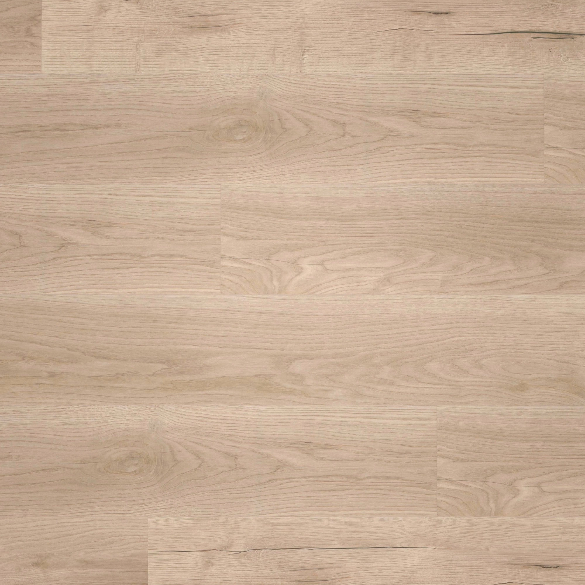 Draufsicht - wineo Klebe-Bioboden PURLINE wineo 1000 wood L Comfort Oak Sand Draufsicht - wineo PL298R