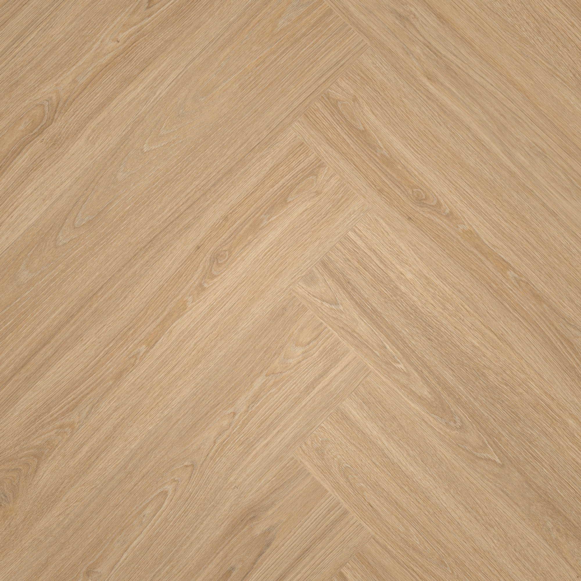 Draufsicht - MEISTER Laminat LS 350 Princess Oak creme Draufsicht - MEISTER 600001-0840168-06896
