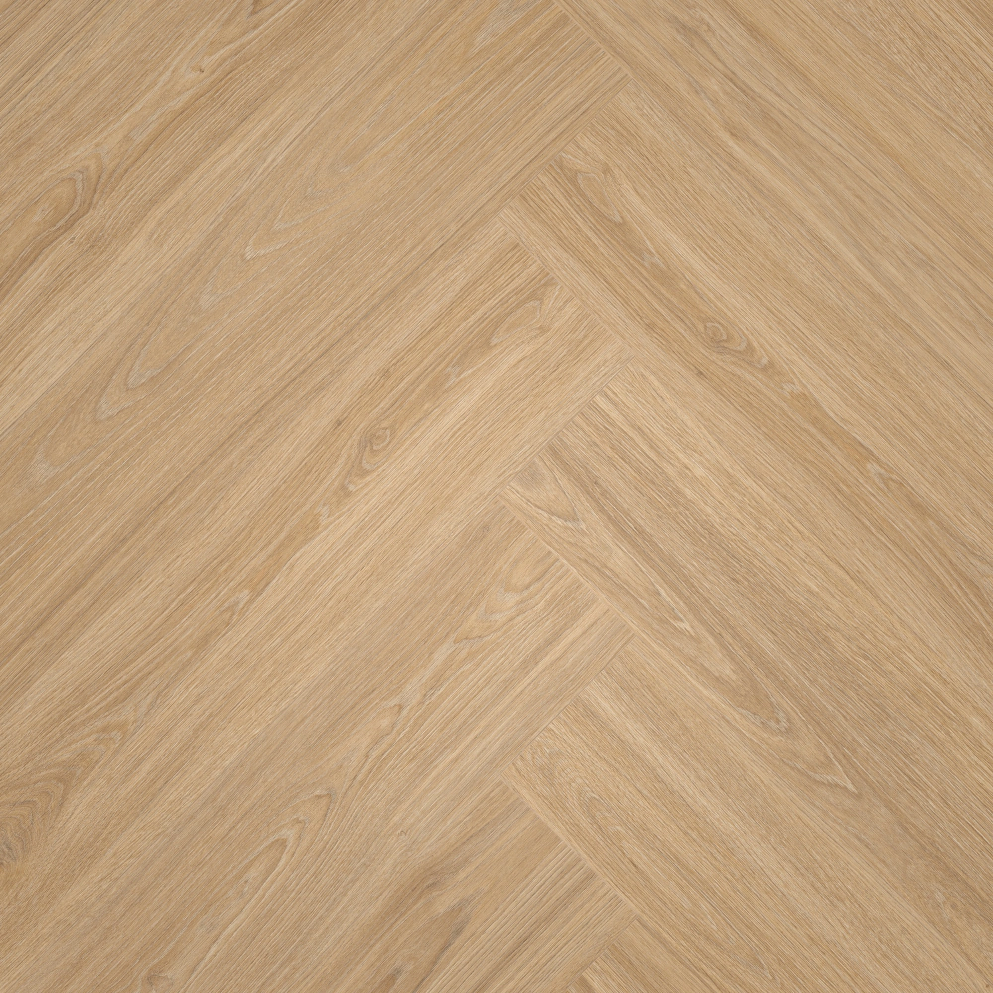 Draufsicht - MEISTER Laminat LS 350 Princess Oak creme Draufsicht - MEISTER 600001-0840168-06896