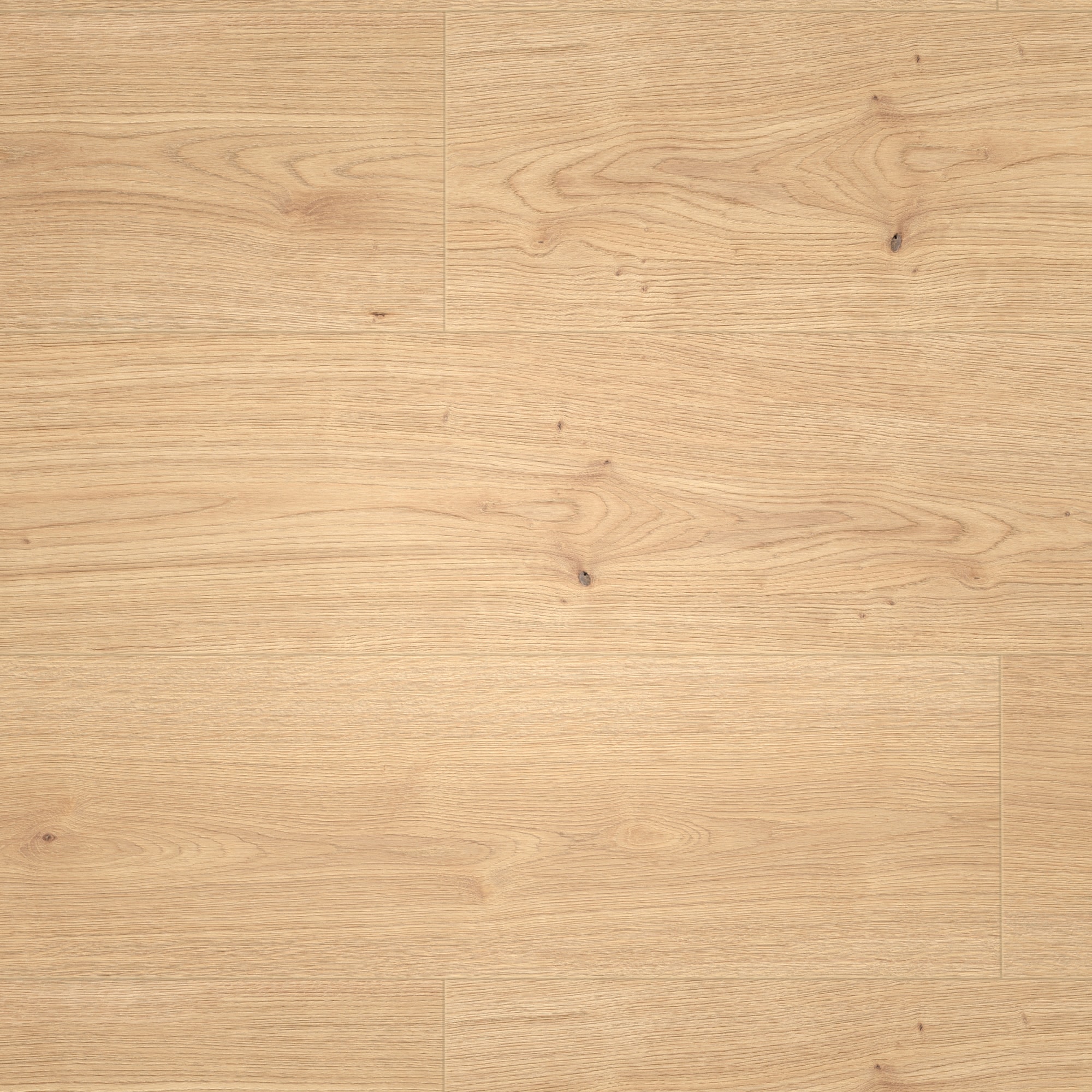 Draufsicht - MEISTER Klebe-Designboden DD 250 Lakewood Oak Draufsicht - MEISTER 400053-1290253-07457