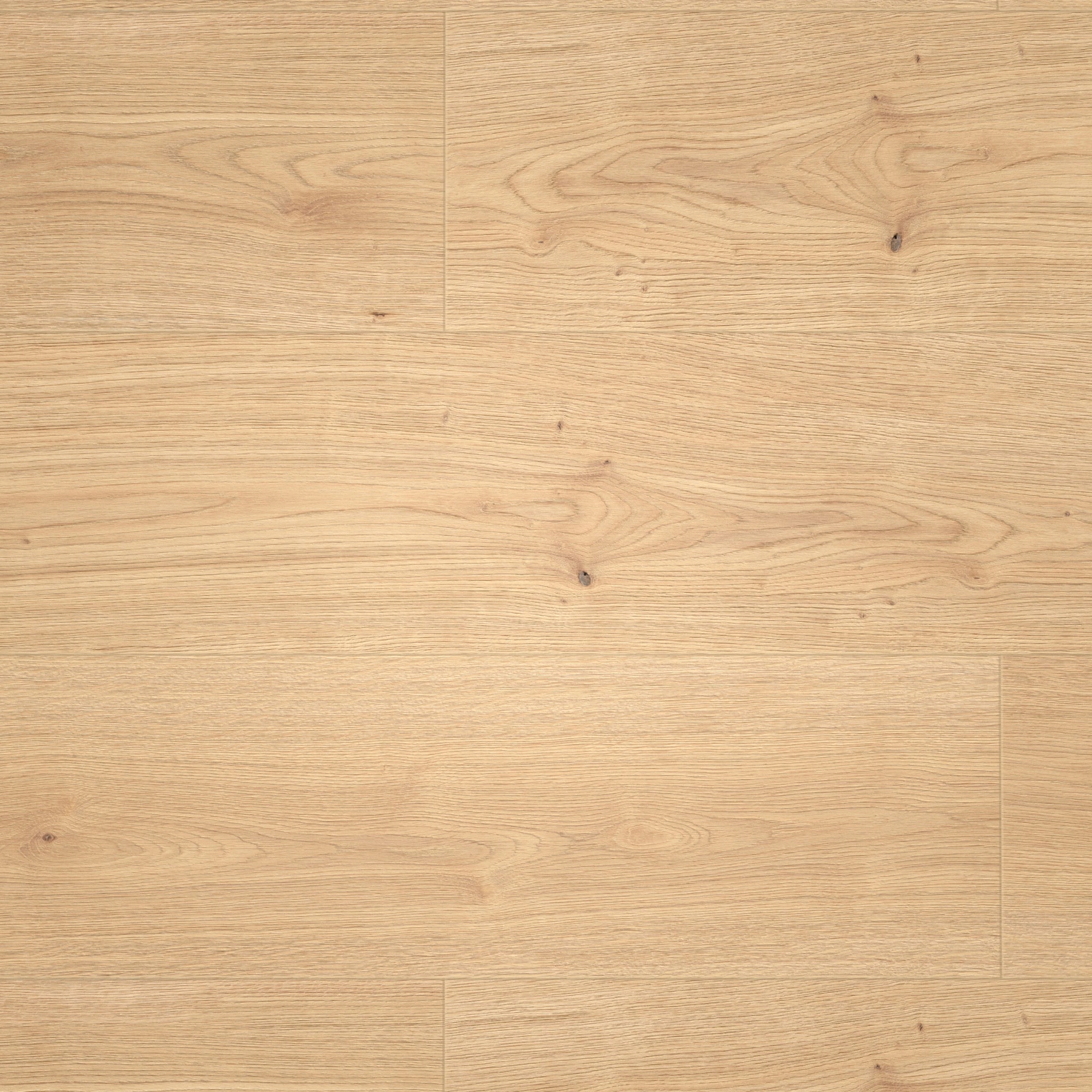 Draufsicht - MEISTER Klebe-Designboden DD 250 Lakewood Oak Draufsicht - MEISTER 400053-1290253-07457
