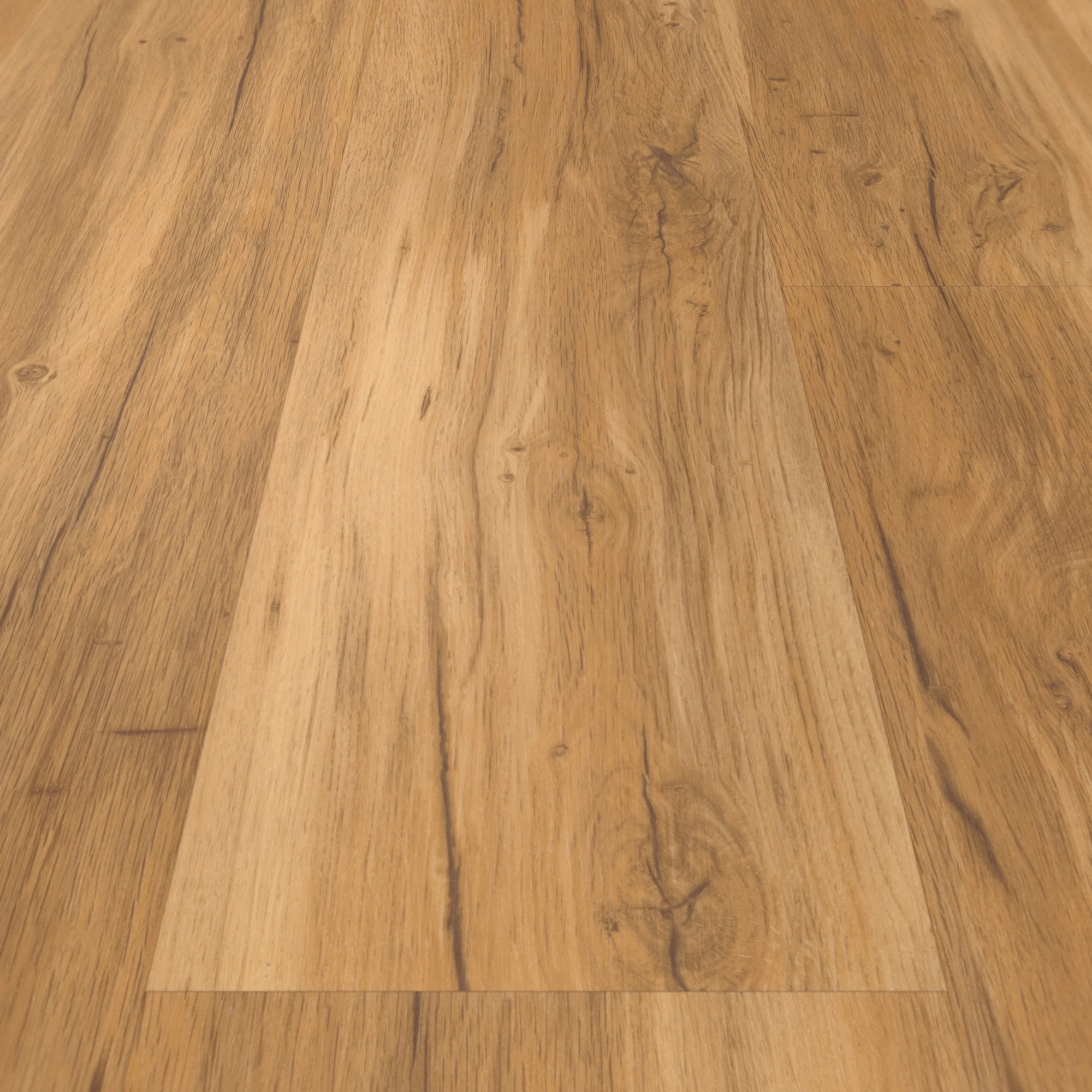 Detail Ansicht - Parador Klebe-Vinyl Basic 2.0 Eiche Memory natur Detail Ansicht - Parador 1730796