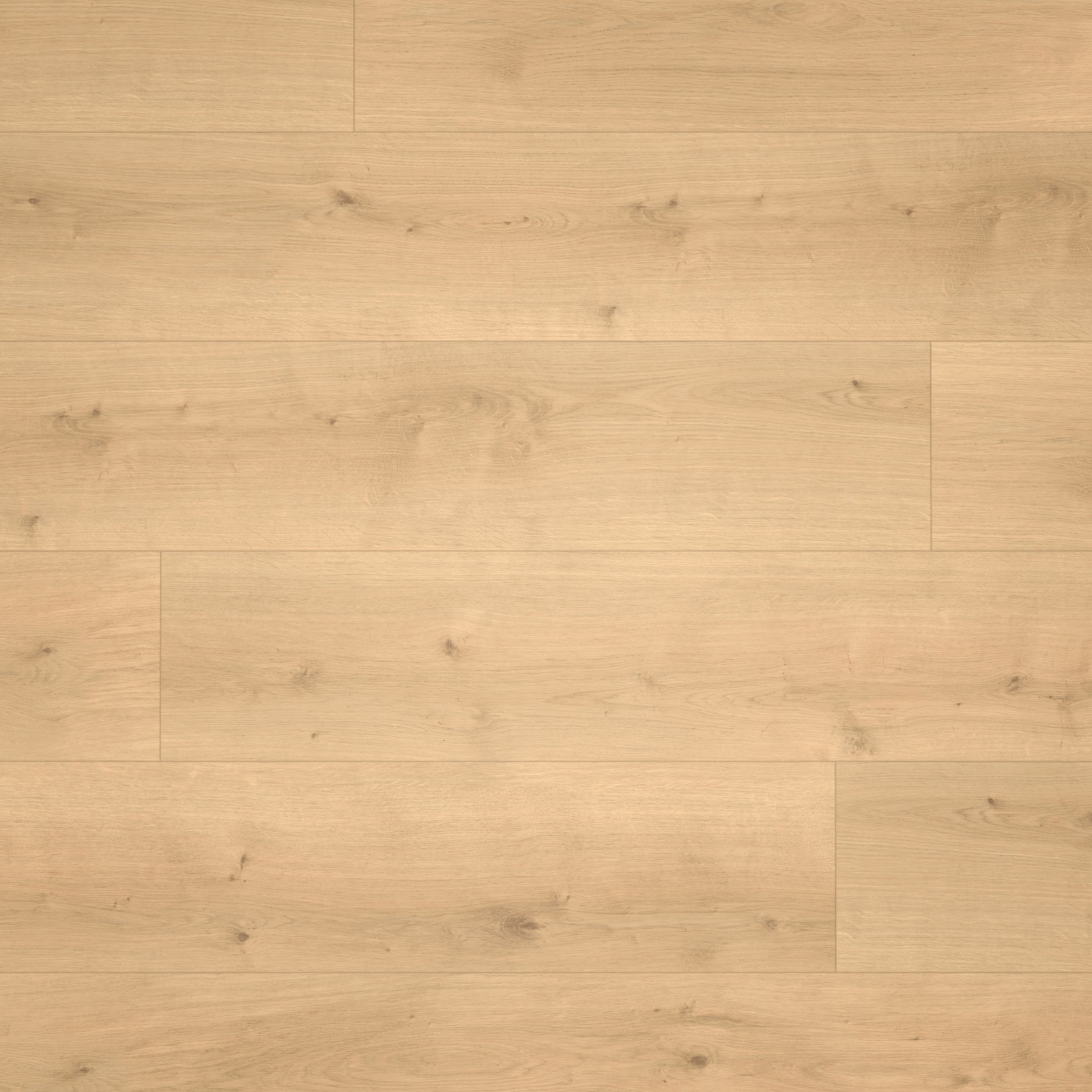 Parador HDF Klick-Designboden Modular ONE Eiche Pure natur Holzstruktur Schlossdiele