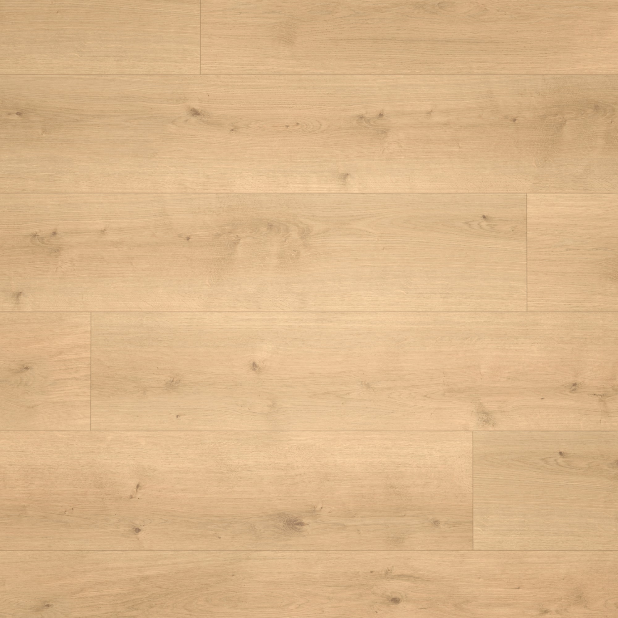 Parador HDF Klick-Designboden Modular ONE Eiche Pure natur Holzstruktur Schlossdiele Parador HDF Klick-Designboden Modular ONE Eiche Pure natur Holzstruktur Schlossdiele