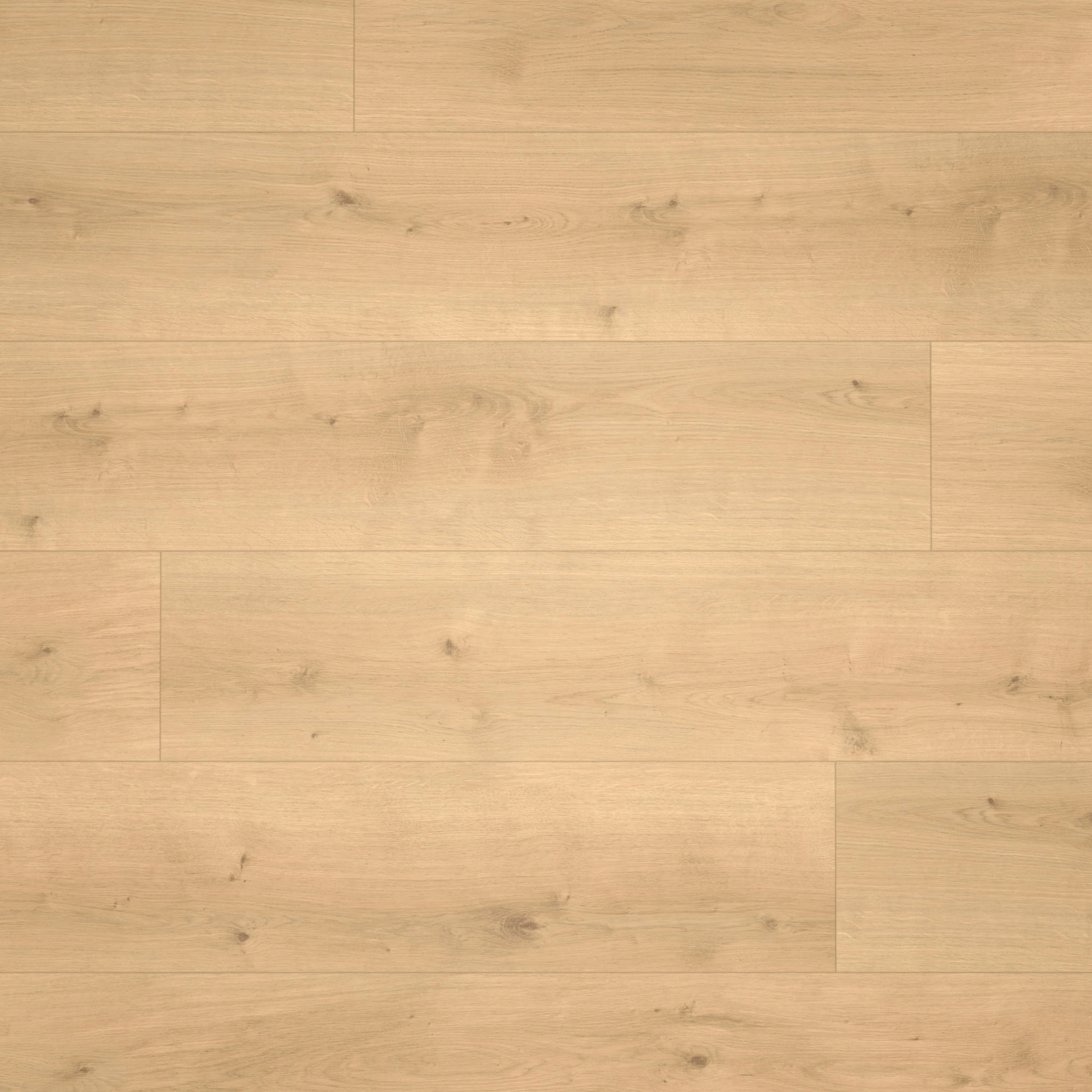 Parador HDF Klick-Designboden Modular ONE Eiche Pure natur Holzstruktur Schlossdiele Parador HDF Klick-Designboden Modular ONE Eiche Pure natur Holzstruktur Schlossdiele