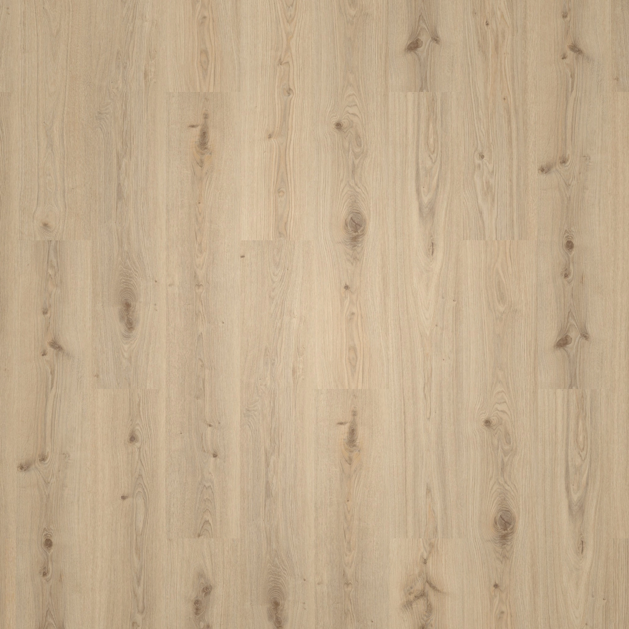 Draufsicht - Tarkett Klebe-Vinyl Essence 30 Primary Oak Natural Draufsicht - Tarkett 260055004