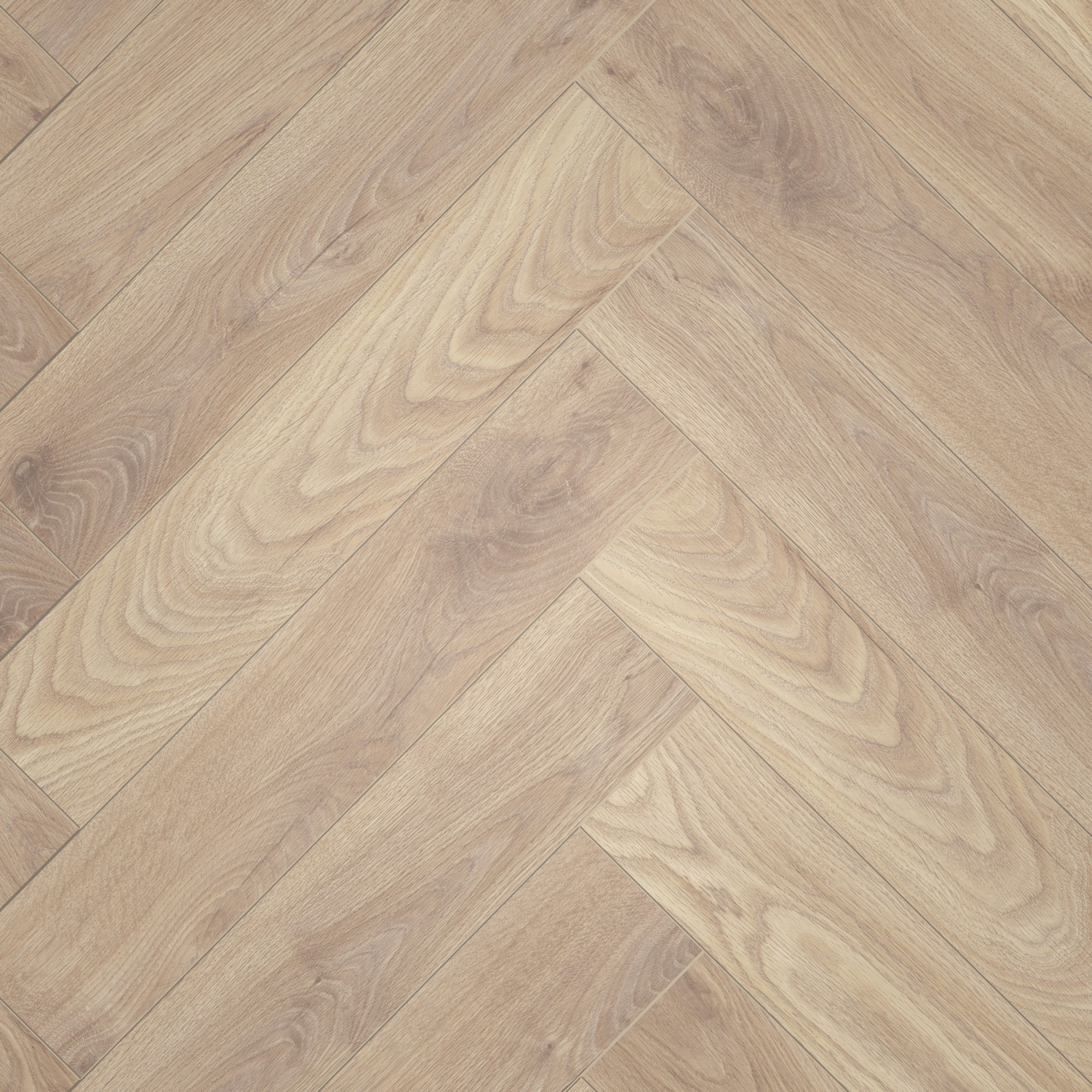 Draufsicht - ter Hürne Laminat Herringbone Edition Eiche Maisonette Draufsicht - ter Hürne 1101021848