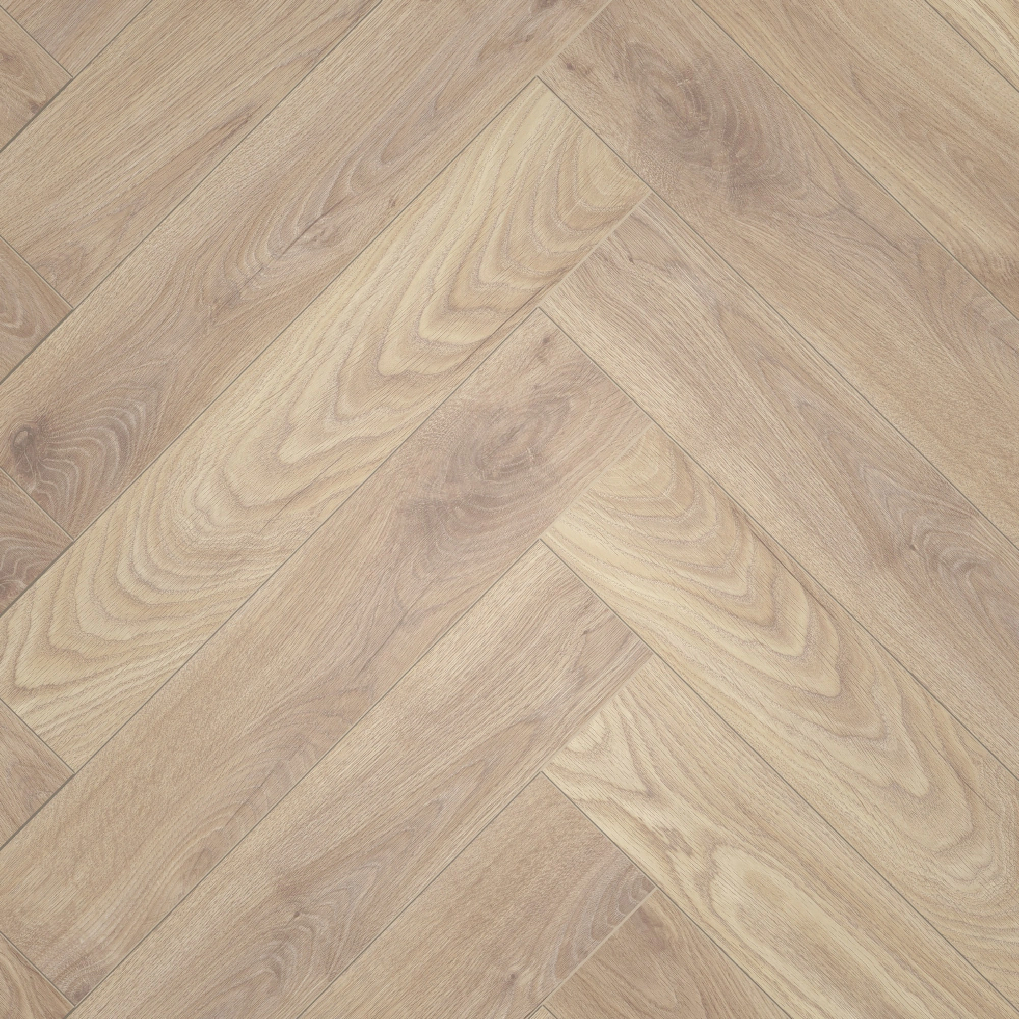 Draufsicht - ter Hürne Laminat Herringbone Edition Eiche Maisonette Draufsicht - ter Hürne 1101021848