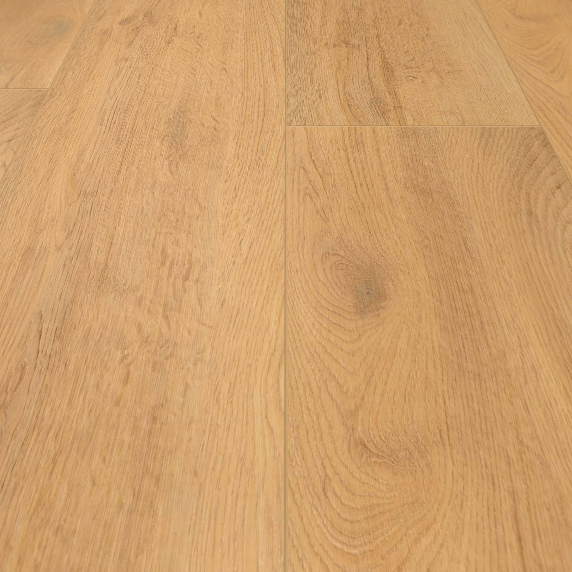 Detail Ansicht - wineo Klebe-Bioboden PURLINE wineo 1200 wood XL Let's go Max Detail Ansicht - wineo PL270R