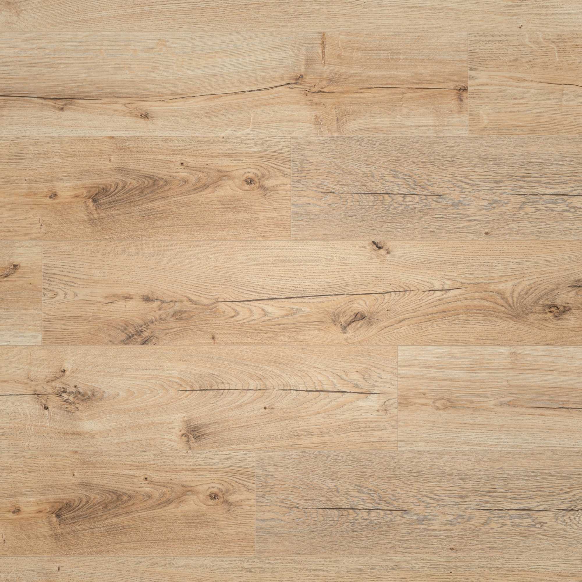 BerryAlloc Laminat Ocean 8 V4 Canyon Natural Real Wood Structure BerryAlloc Laminat Ocean 8 V4 Canyon Natural Real Wood Structure