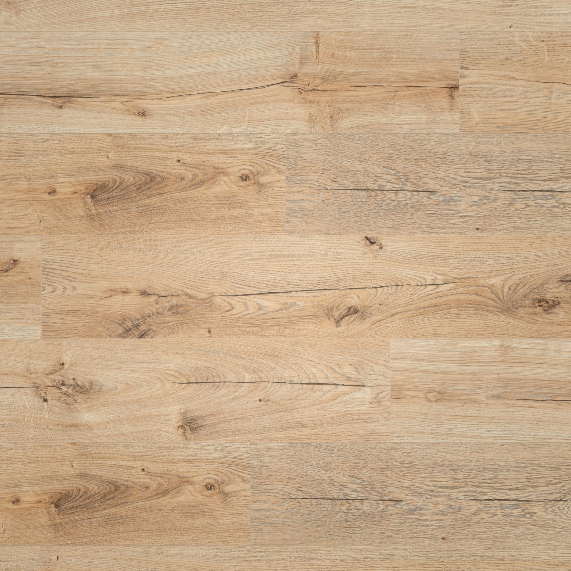 BerryAlloc Laminat Ocean 8 V4 Canyon Natural Real Wood Structure BerryAlloc Laminat Ocean 8 V4 Canyon Natural Real Wood Structure