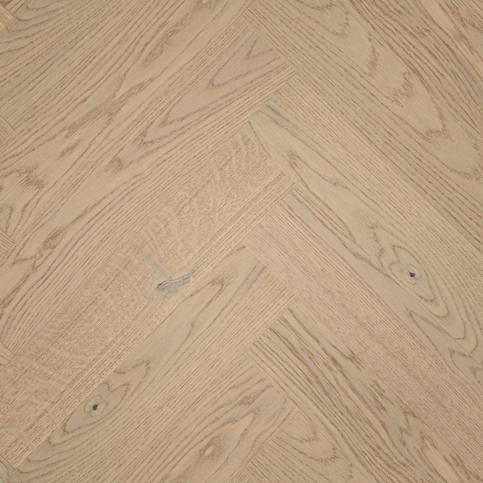 Draufsicht - MEISTER Holzboden HS 500 Lindura Eiche classic sandgrau Draufsicht - MEISTER 500010-0700140-20232