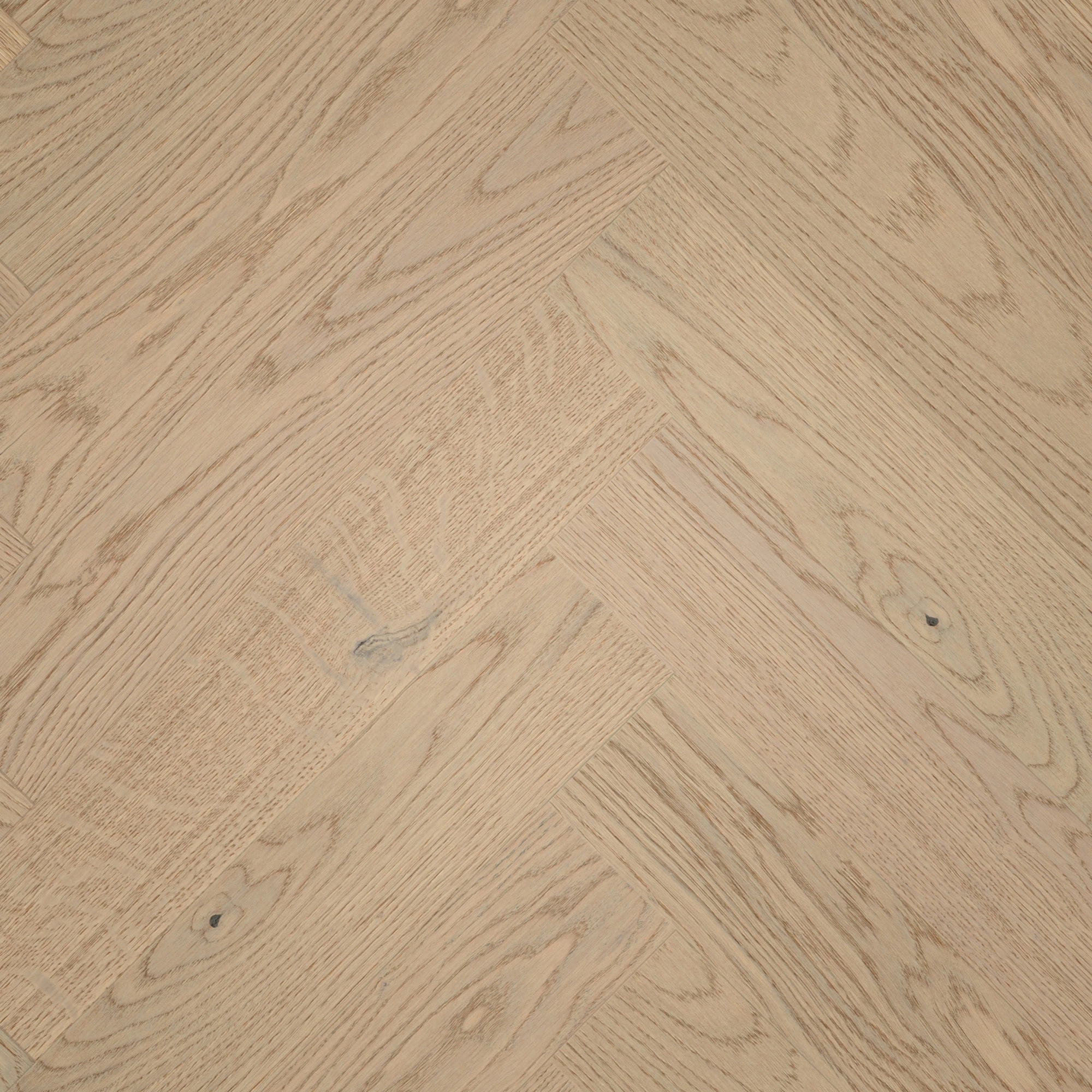 Draufsicht - MEISTER Holzboden HS 500 Lindura Eiche classic sandgrau Draufsicht - MEISTER 500010-0700140-20232