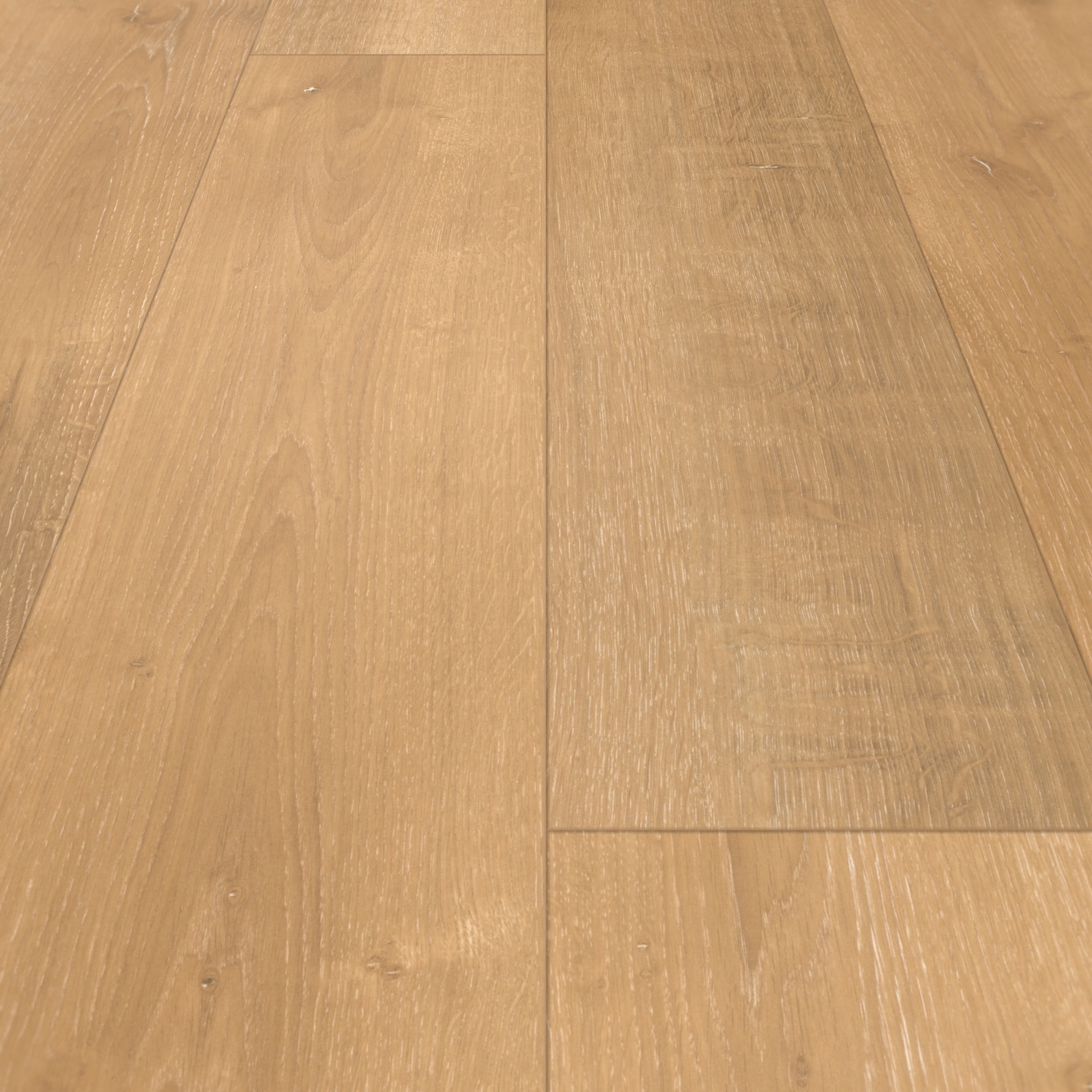 Parador Laminat Basic 400 Eiche Monterey leicht geweißt Seidenmatte Struktur 4V Parador Laminat Basic 400 Eiche Monterey leicht geweißt Seidenmatte Struktur 4V