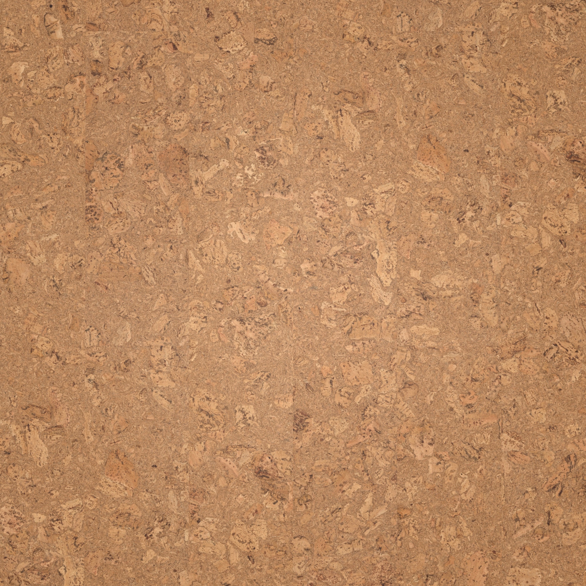 Draufsicht - Wicanders Wise HDF Klick-Korkboden cork Essence Originals Dawn Draufsicht - Wicanders Wise 80002244