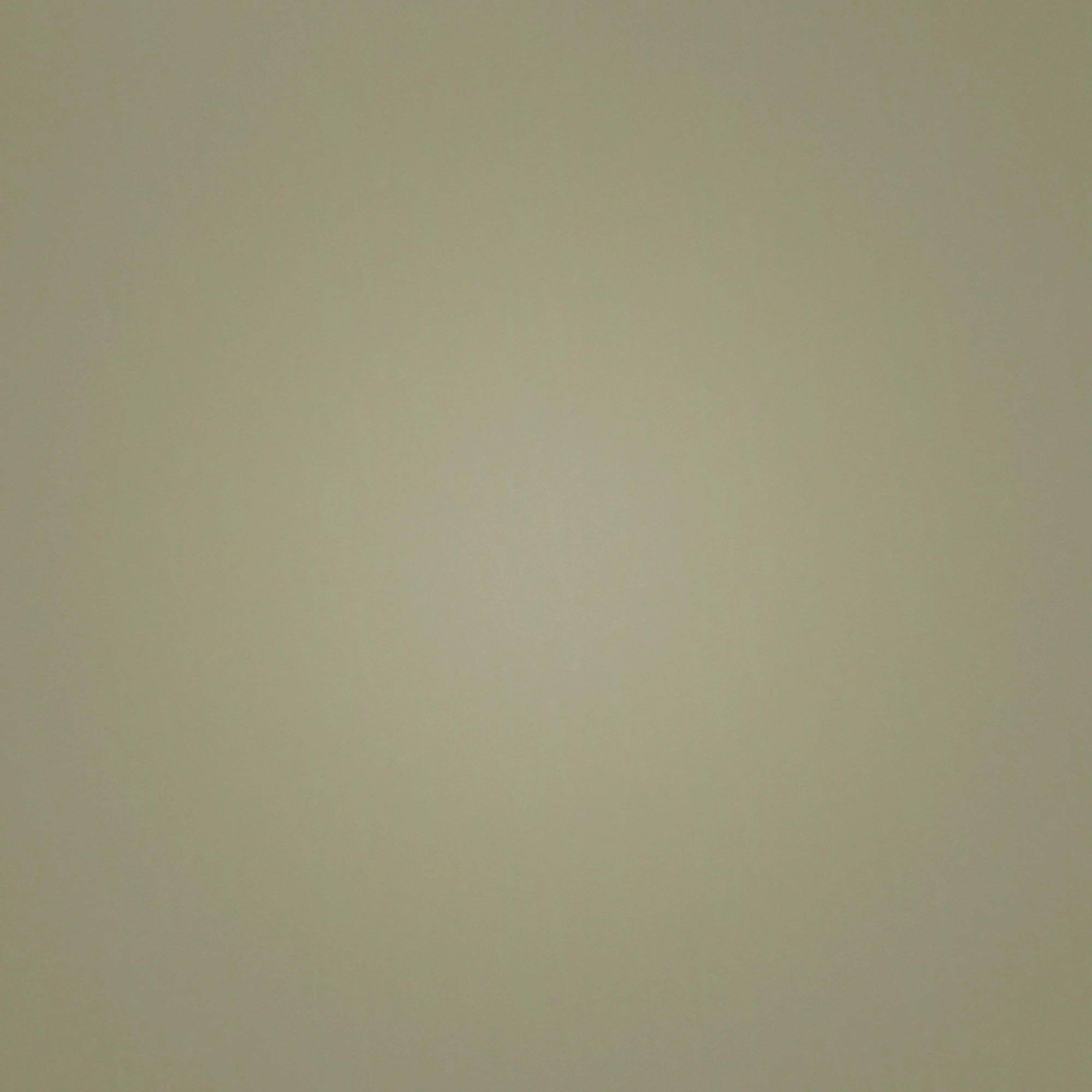 Forbo Flooring Linoleum Marmoleum Click Rosemary Green 333355 Forbo Flooring Linoleum Marmoleum Click Rosemary Green 333355