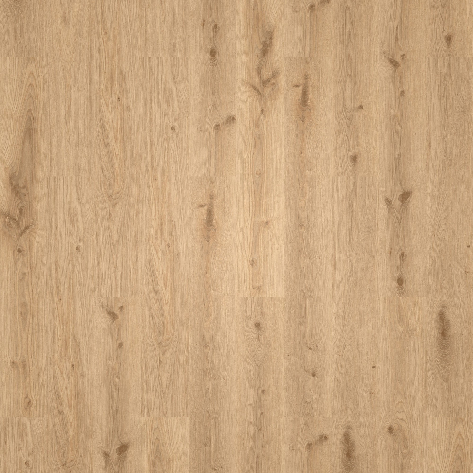 Tarkett Rigid Klick-Designboden iD Evolution Rigid Home Delicate Oak Light Brown Tarkett Rigid Klick-Designboden iD Evolution Rigid Home Delicate Oak Light Brown