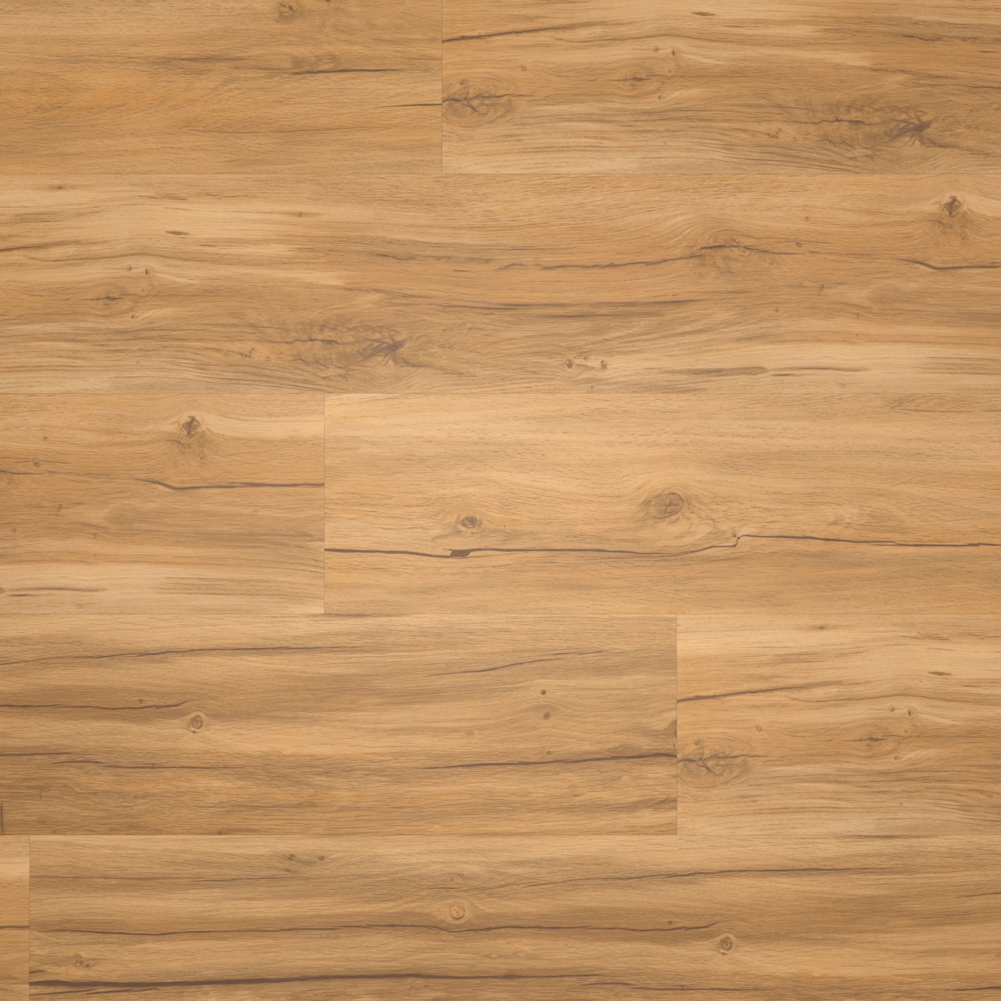 Draufsicht - Parador Klebe-Vinyl Basic 2.0 Eiche Memory natur Draufsicht - Parador 1730796