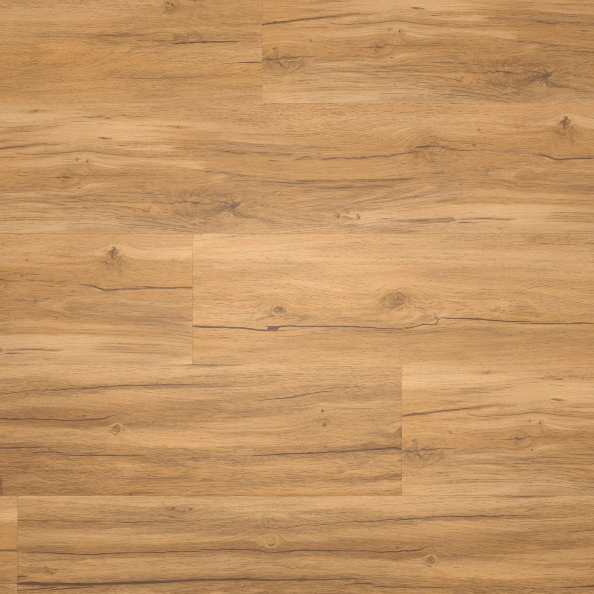 Draufsicht - Parador Klebe-Vinyl Basic 2.0 Eiche Memory natur Draufsicht - Parador 1730796
