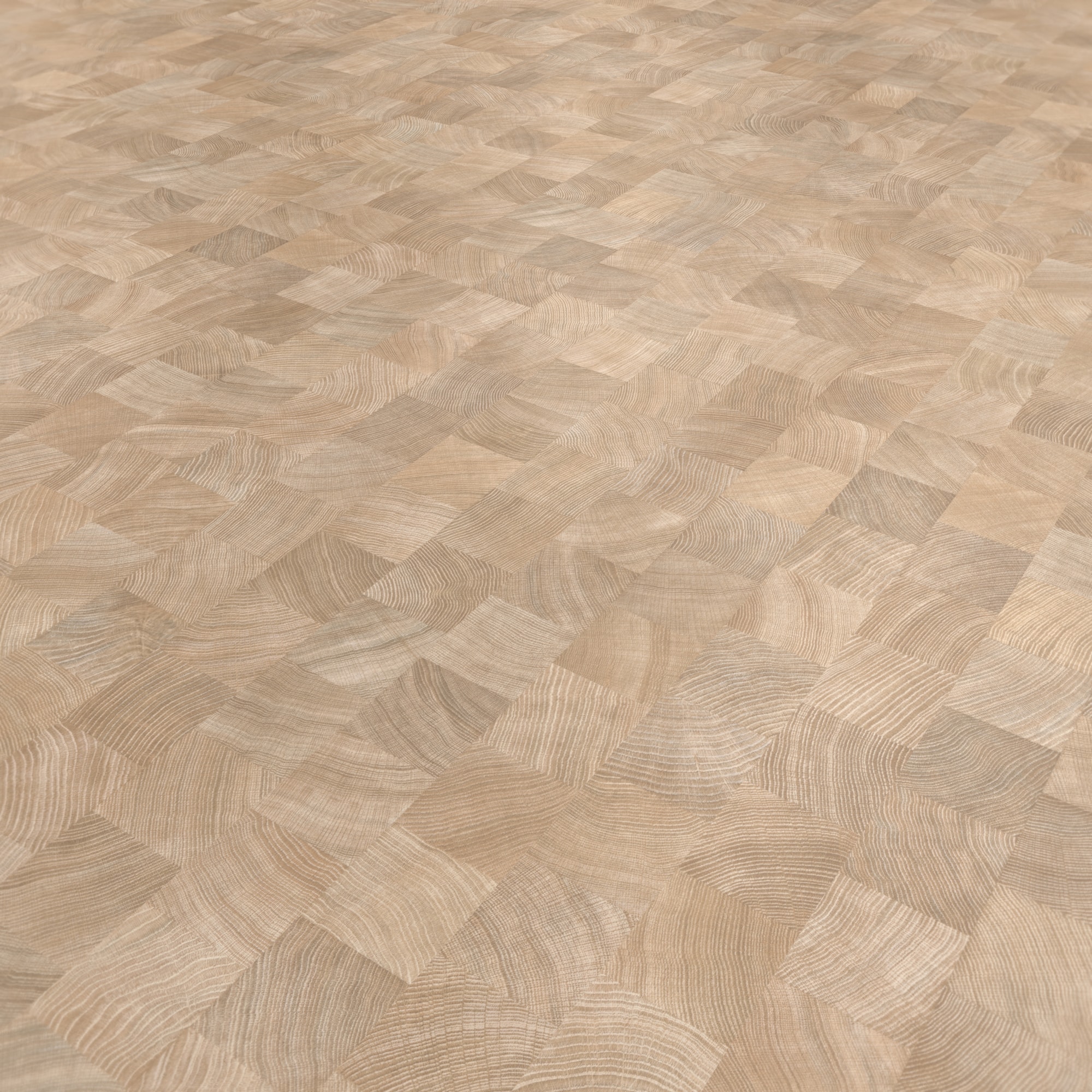 Parador Laminat Basic 400 Eiche Hirnholz gekälkt Seidenmatte Struktur 0V Parador Laminat Basic 400 Eiche Hirnholz gekälkt Seidenmatte Struktur 0V
