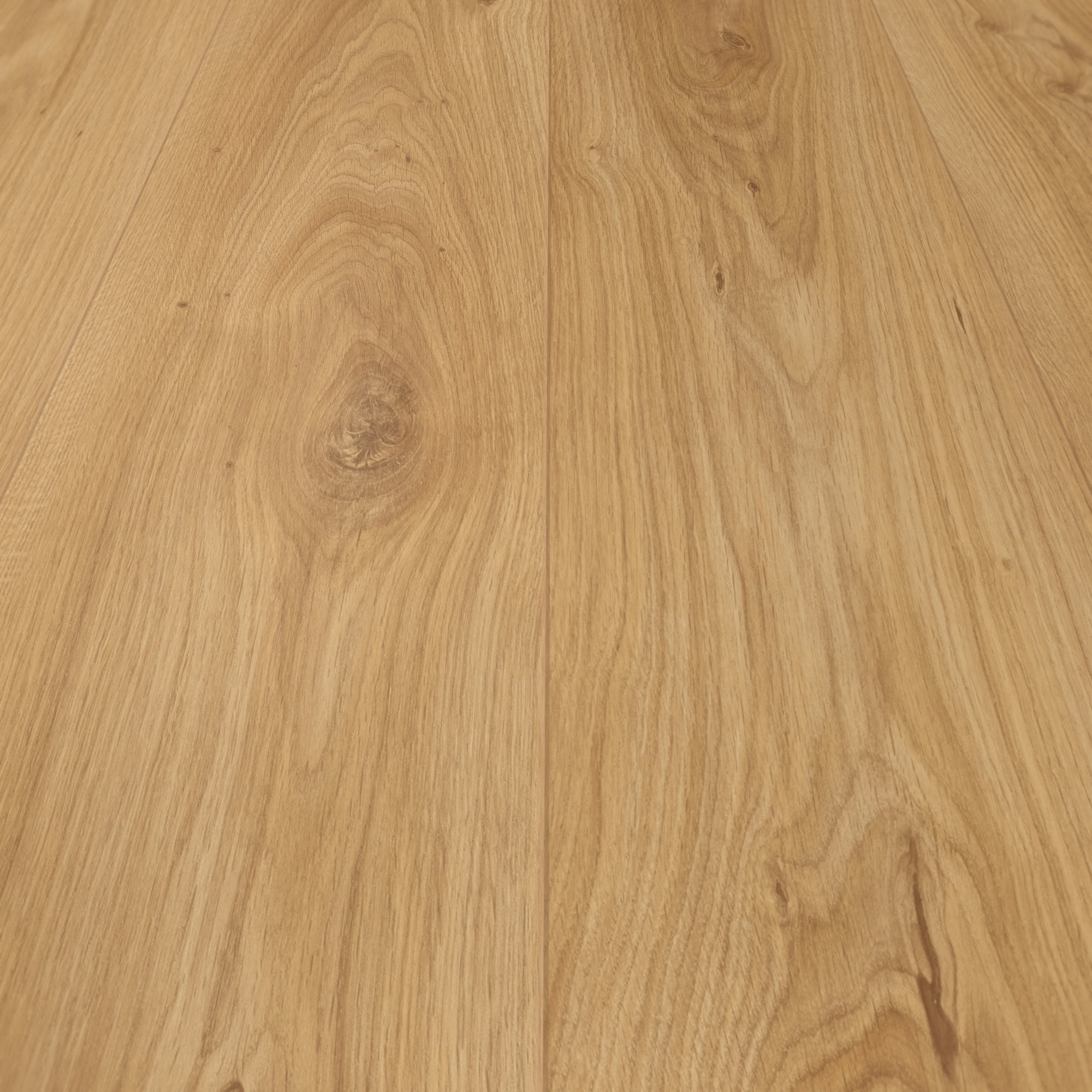 Detail Ansicht - MEISTER 400055-2052220-06836