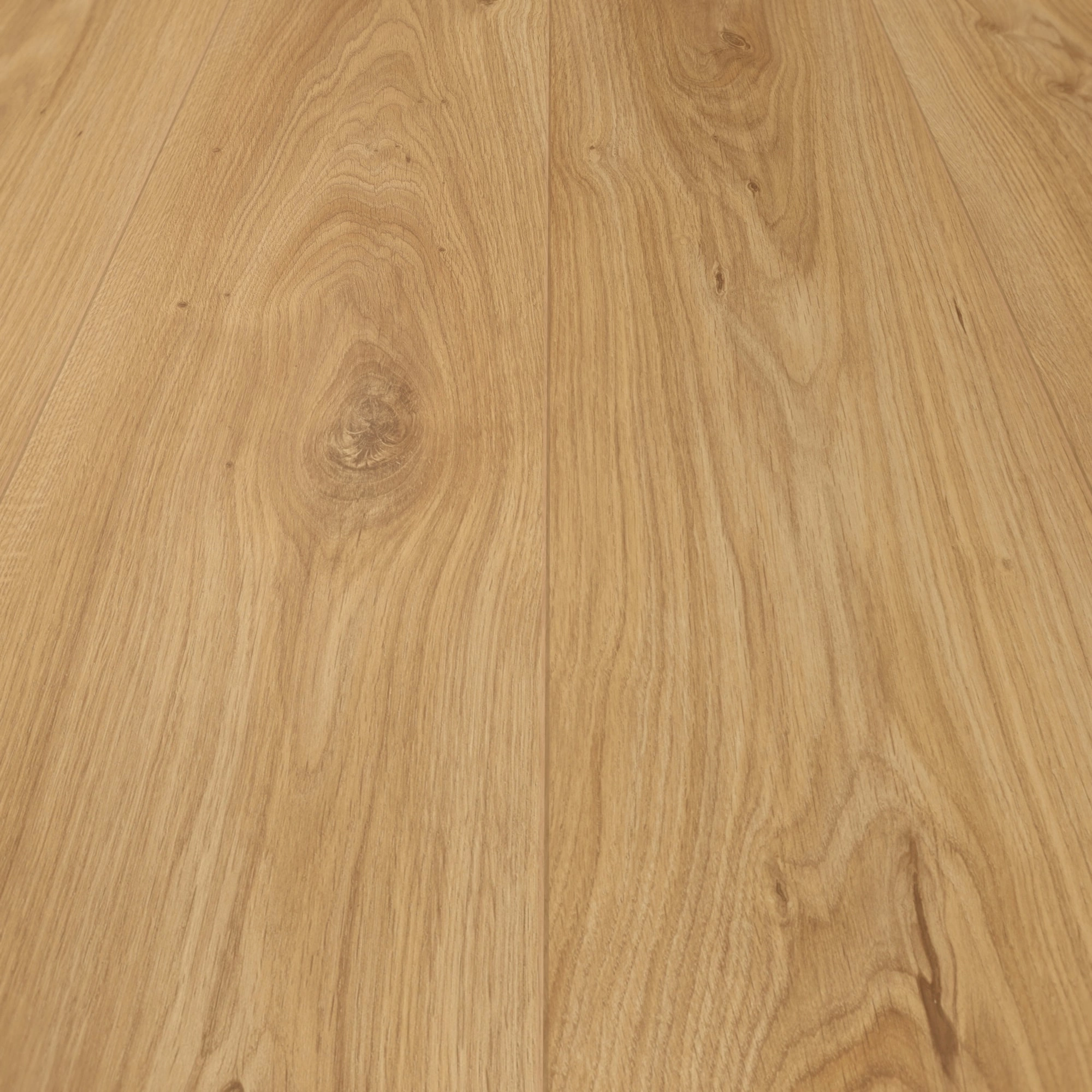Detail Ansicht - MEISTER HDF Klick-Designboden DL 500 S Schlosseiche natur Detail Ansicht - MEISTER 400055-2052220-06836