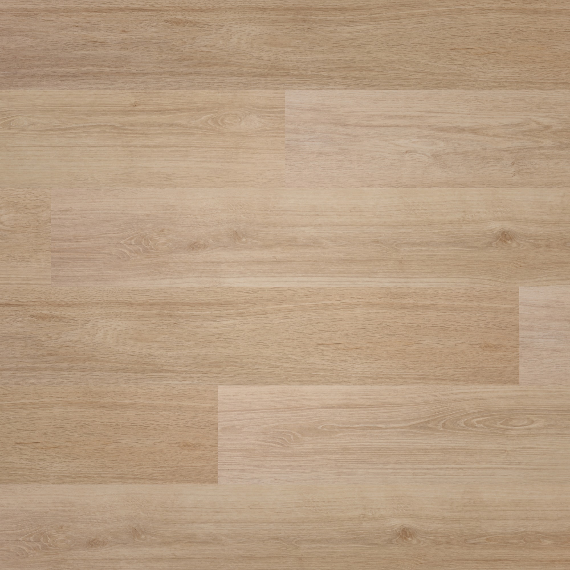 Draufsicht - BerryAlloc Klebe-Vinyl Zenn Gluedown 30 Orlando Draufsicht - BerryAlloc 60002219