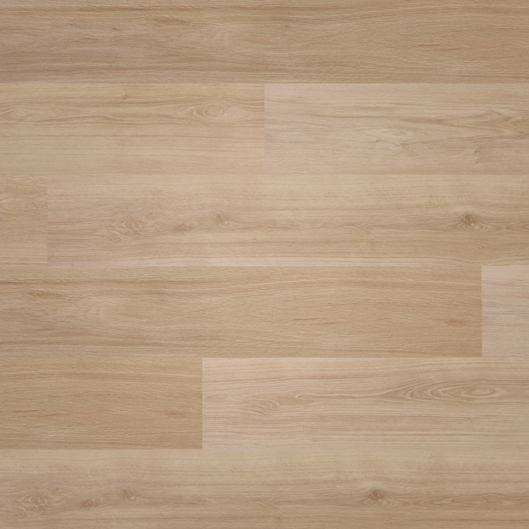 Draufsicht - BerryAlloc Klebe-Vinyl Zenn Gluedown 30 Orlando Draufsicht - BerryAlloc 60002219