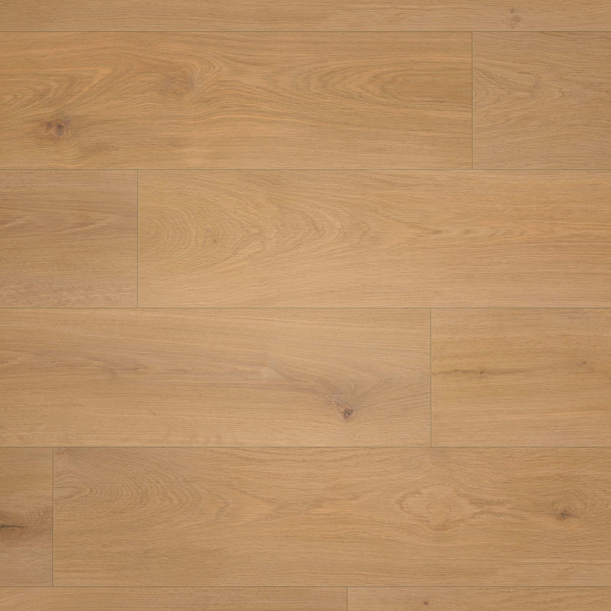 Draufsicht - wineo Klick-Bioboden PURLINE wineo 1000 wood XL Noble Oak Toffee Draufsicht - wineo PLC311R