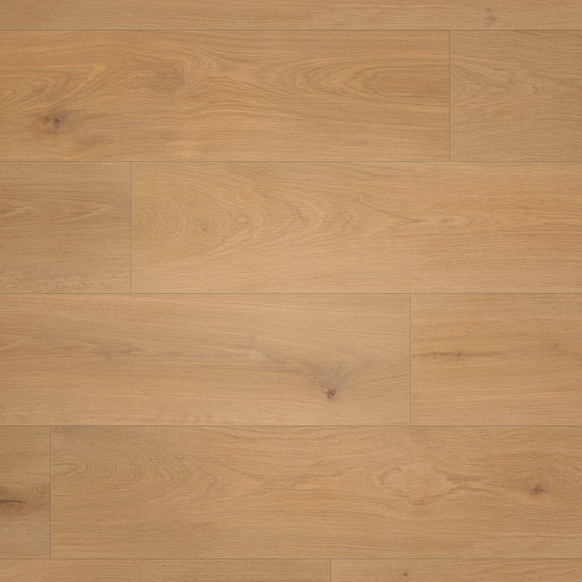 Draufsicht - wineo Klick-Bioboden PURLINE wineo 1000 wood XL Noble Oak Toffee Draufsicht - wineo PLC311R