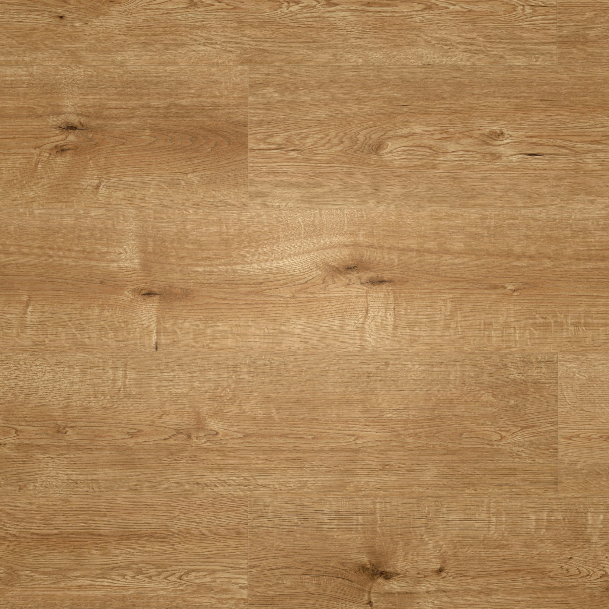 Draufsicht - MEISTER Laminat LD 55 Hill Oak Draufsicht - MEISTER 600015-1288198-07153