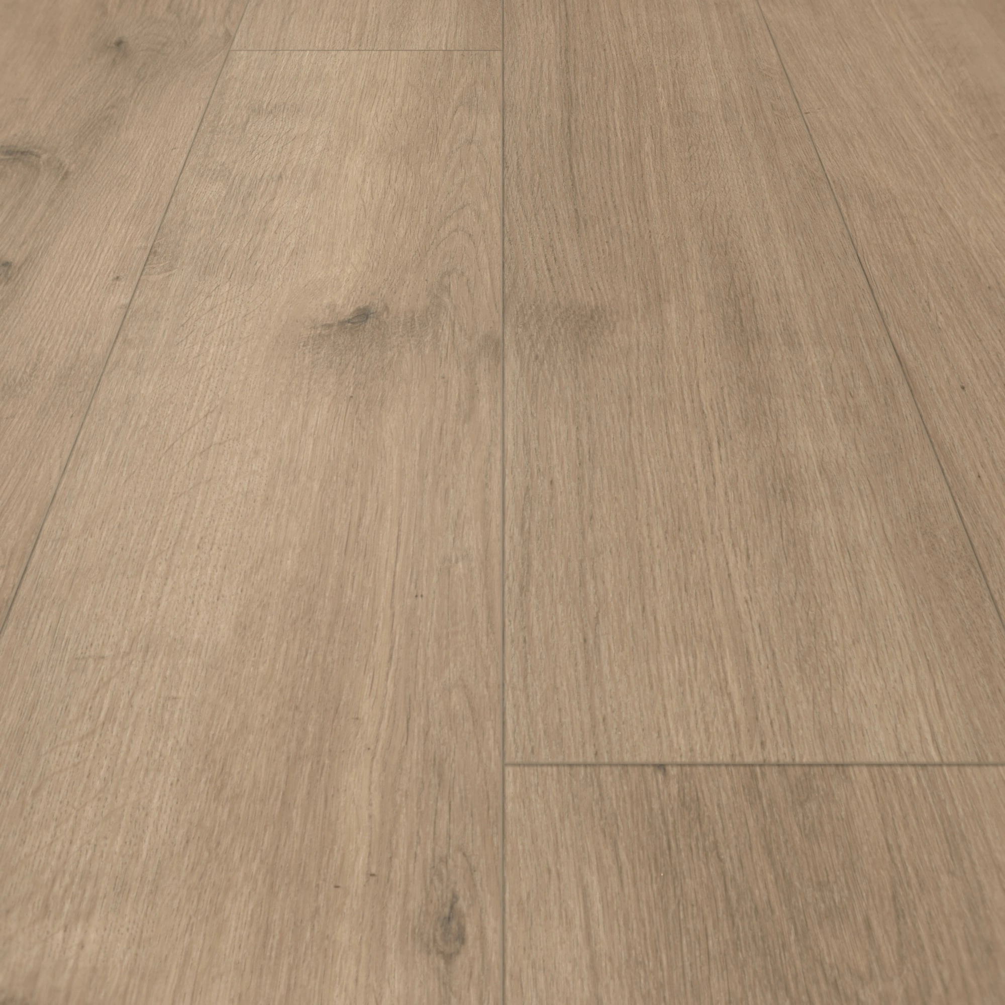 Detail Ansicht - Parador HDF Klick-Designboden Modular ONE Eiche Pure perlgrau Detail Ansicht - Parador 1730768