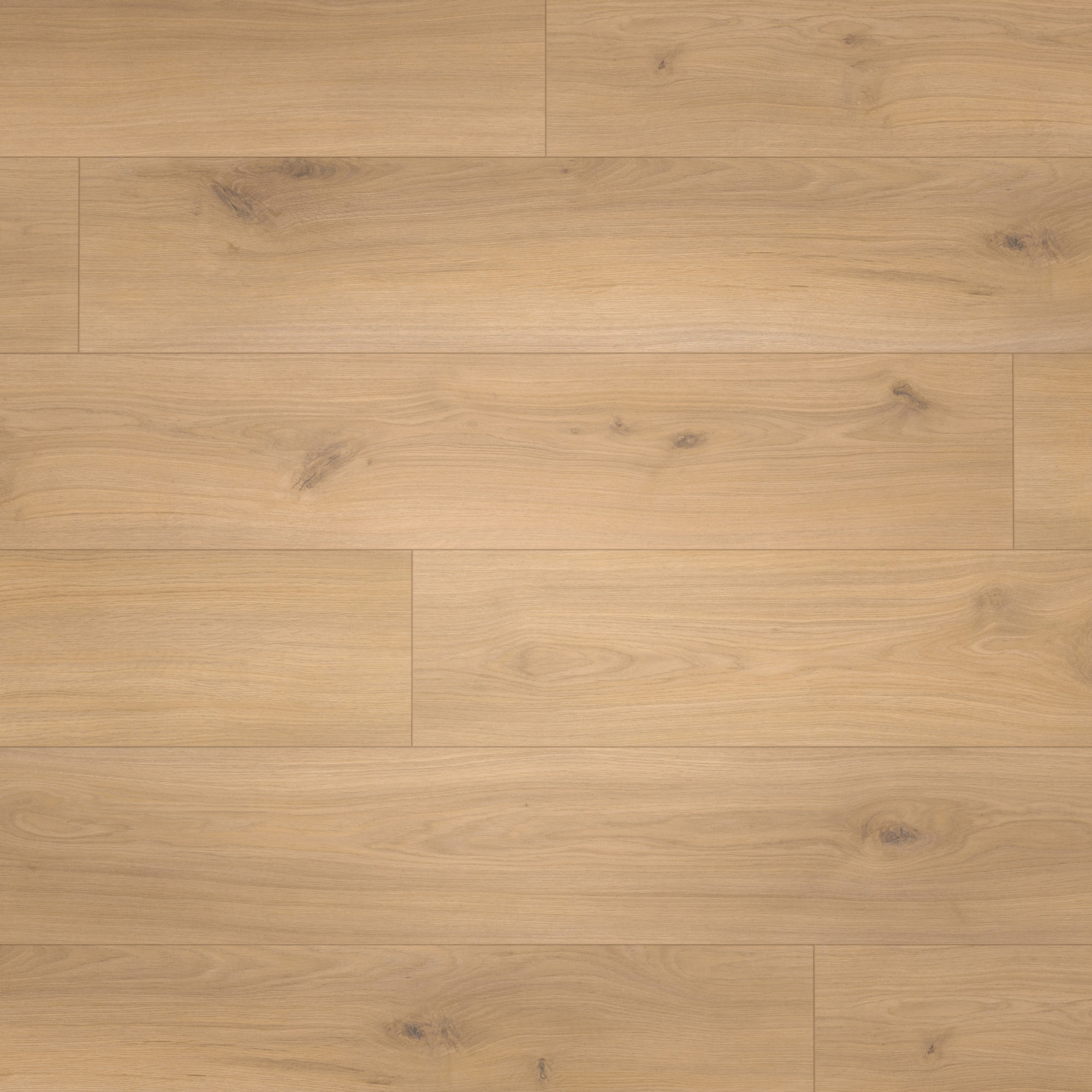 Parador Laminat Basic 400 Eiche Horizont Natur Seidenmatte Struktur 4V