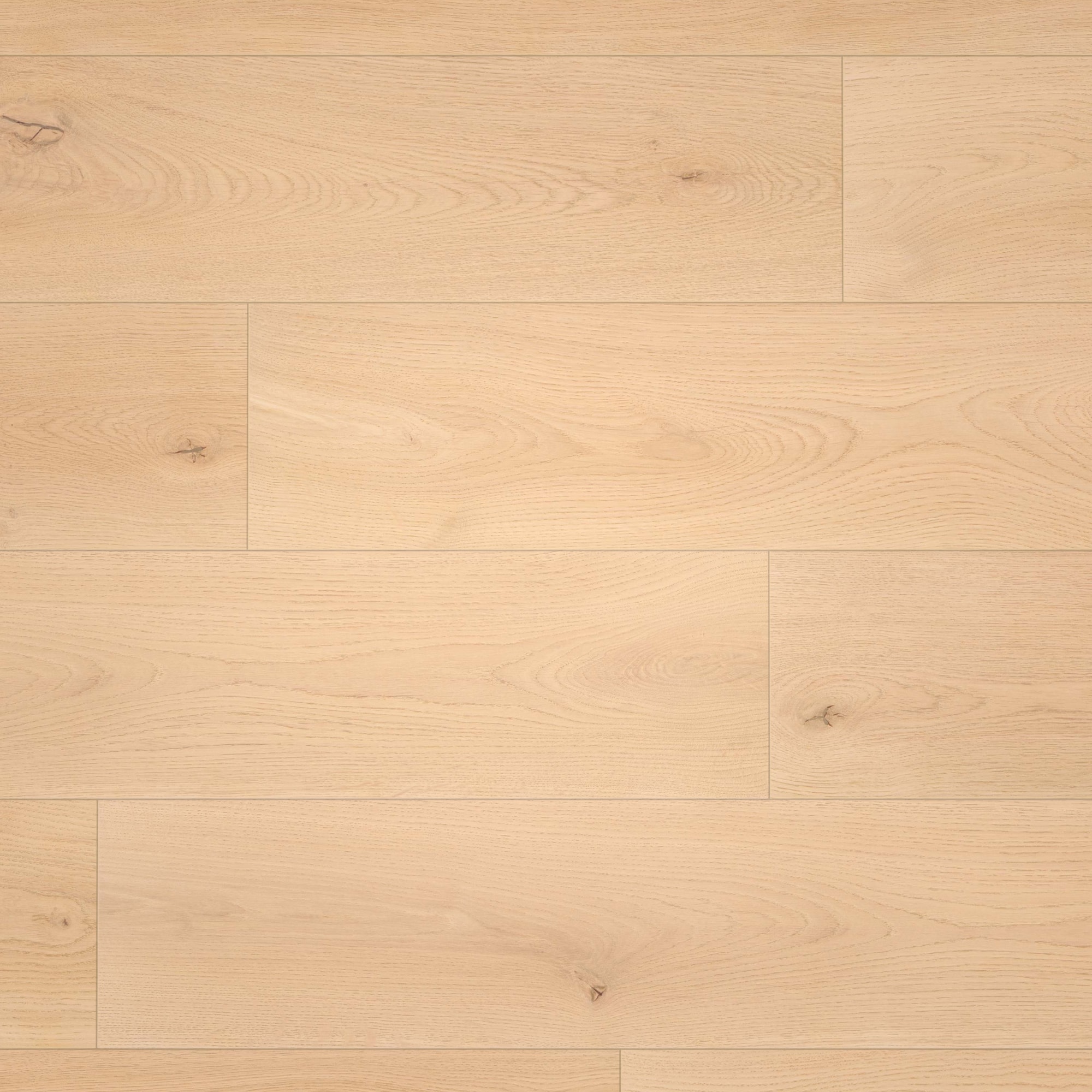 Draufsicht - wineo Klebe-Bioboden PURLINE wineo 1000 wood XL Noble Oak Vanilla Draufsicht - wineo PL310R