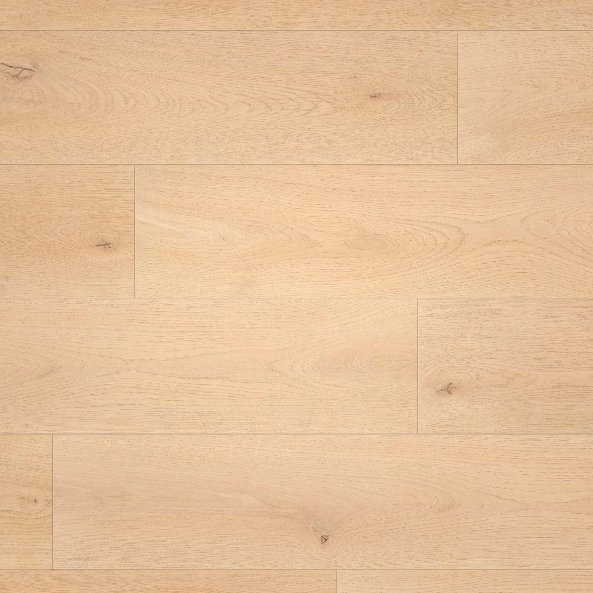 Draufsicht - wineo Klebe-Bioboden PURLINE wineo 1000 wood XL Noble Oak Vanilla Draufsicht - wineo PL310R