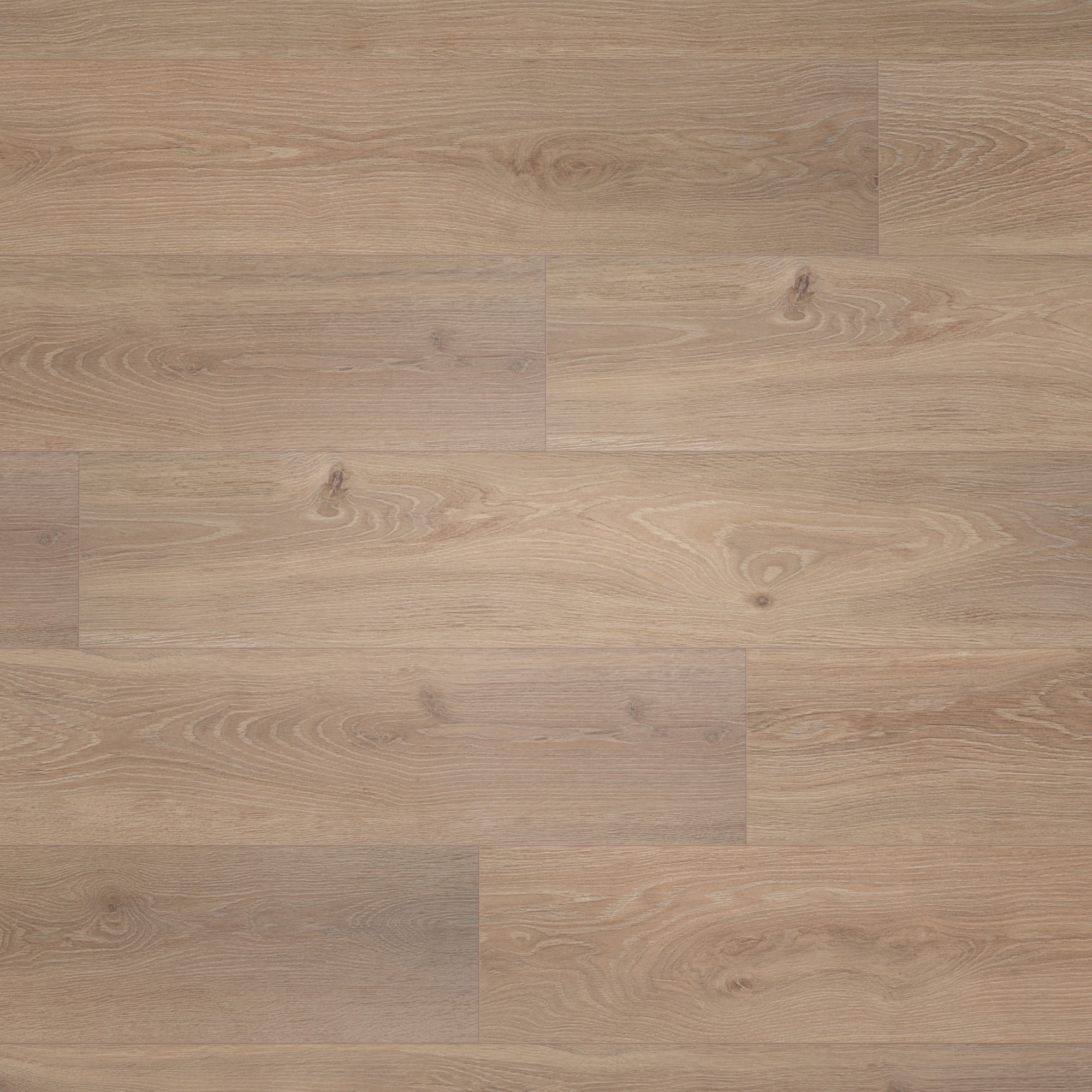 BerryAlloc Laminat Ocean 8 V4 Bloom Light Brown Wood Structure BerryAlloc Laminat Ocean 8 V4 Bloom Light Brown Wood Structure