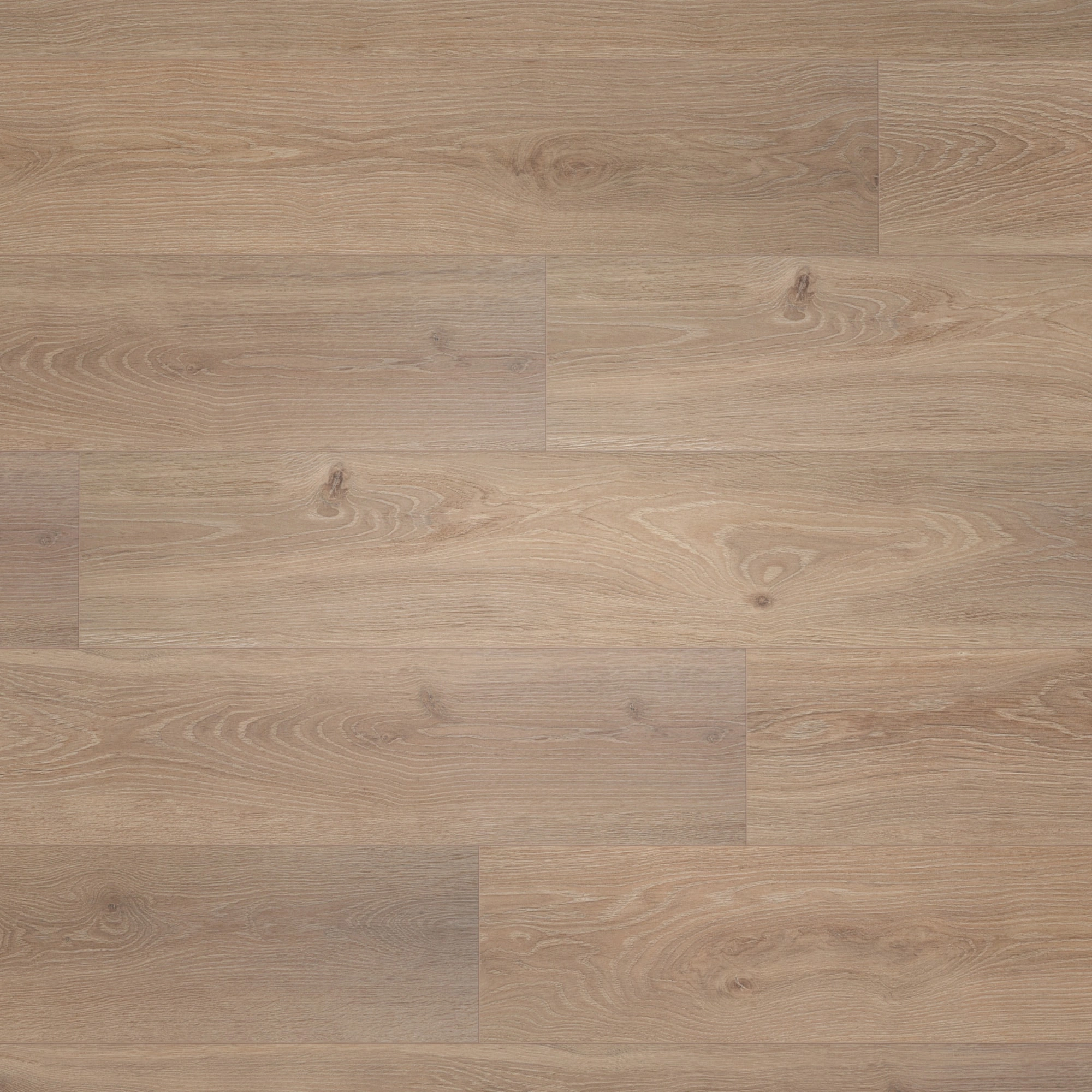 BerryAlloc Laminat Ocean 8 V4 Bloom Light Brown Wood Structure BerryAlloc Laminat Ocean 8 V4 Bloom Light Brown Wood Structure