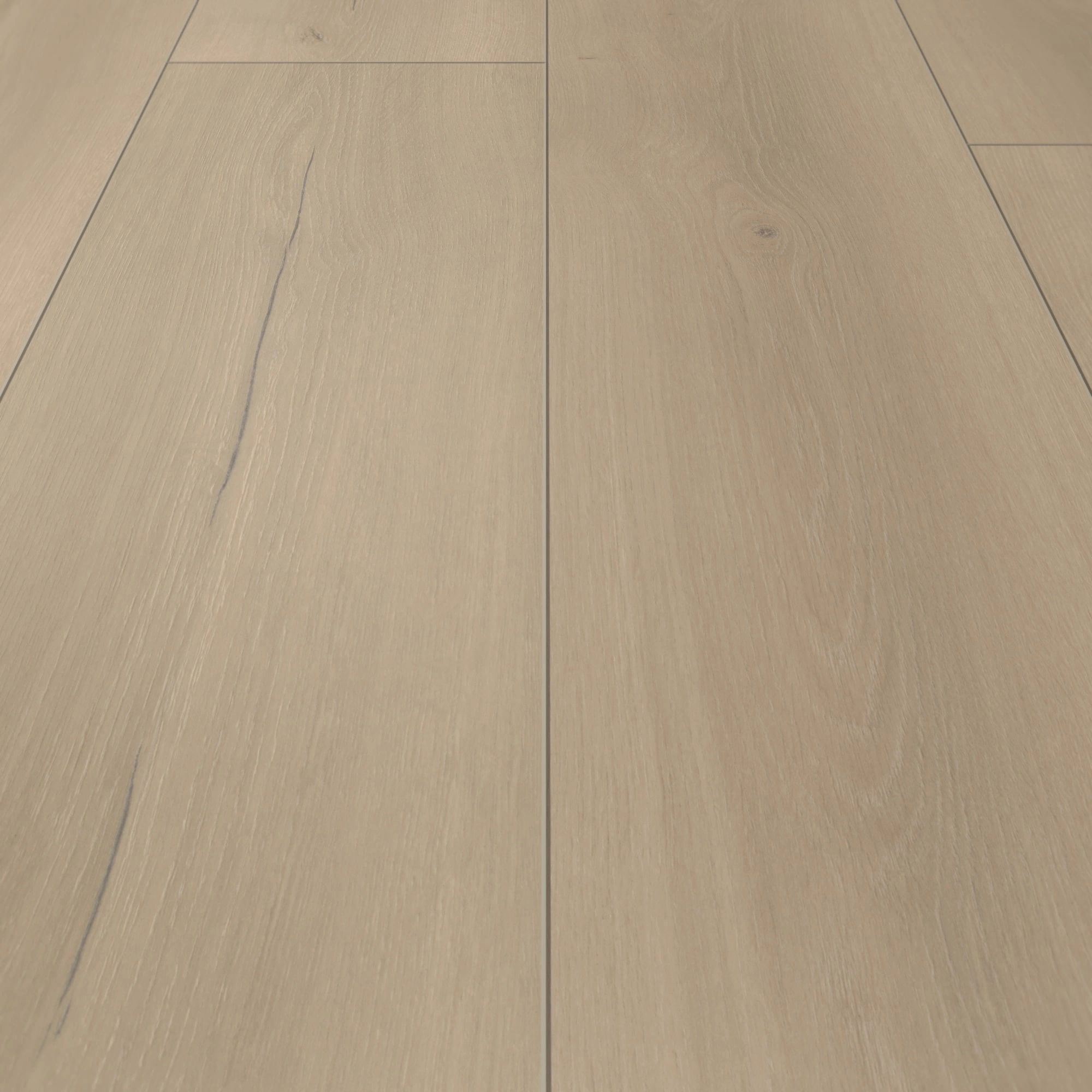 Detail Ansicht - Parador Laminat Trendtime 6 Eiche Loft grau Detail Ansicht - Parador 1730467